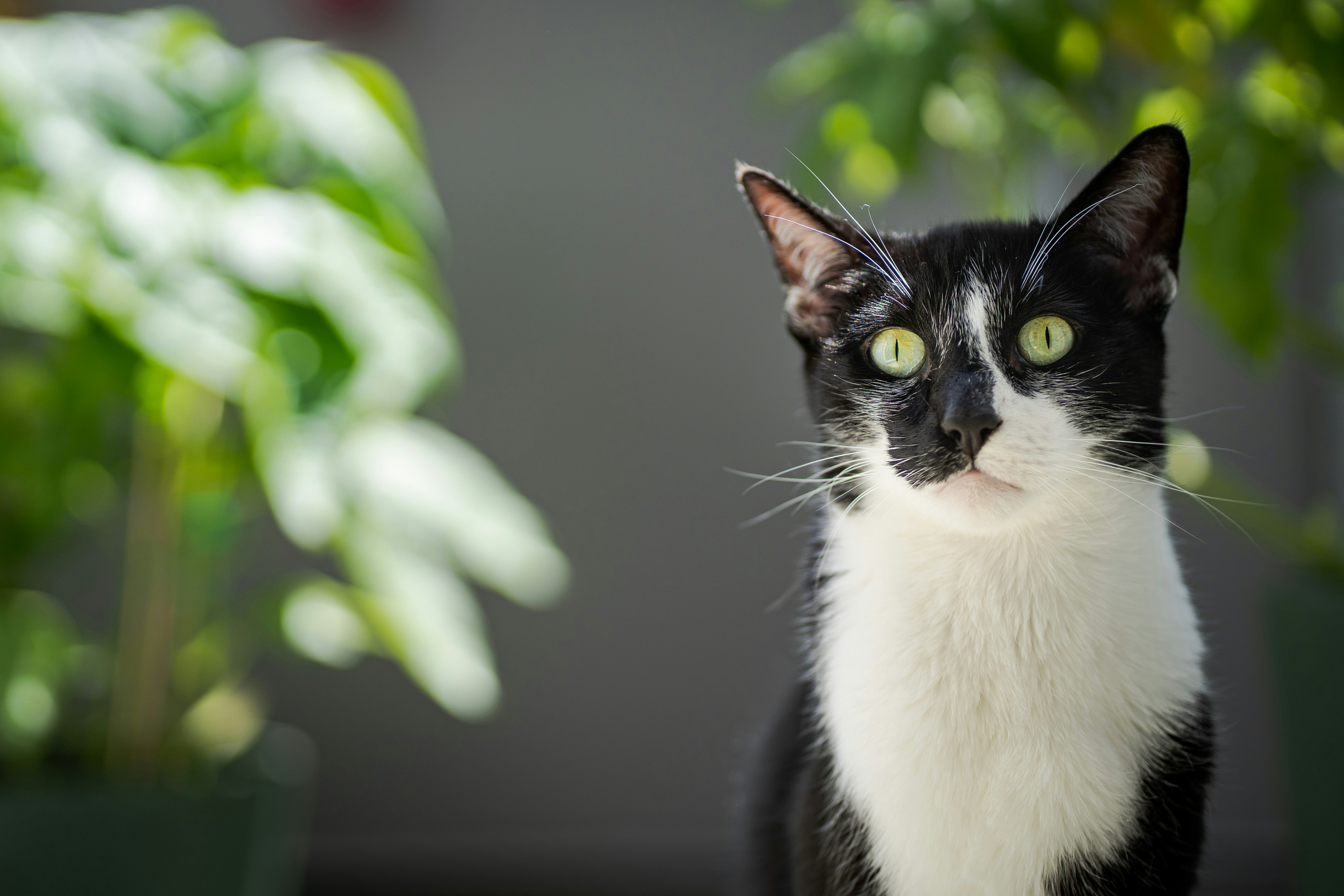 Photo by printlinebyflo