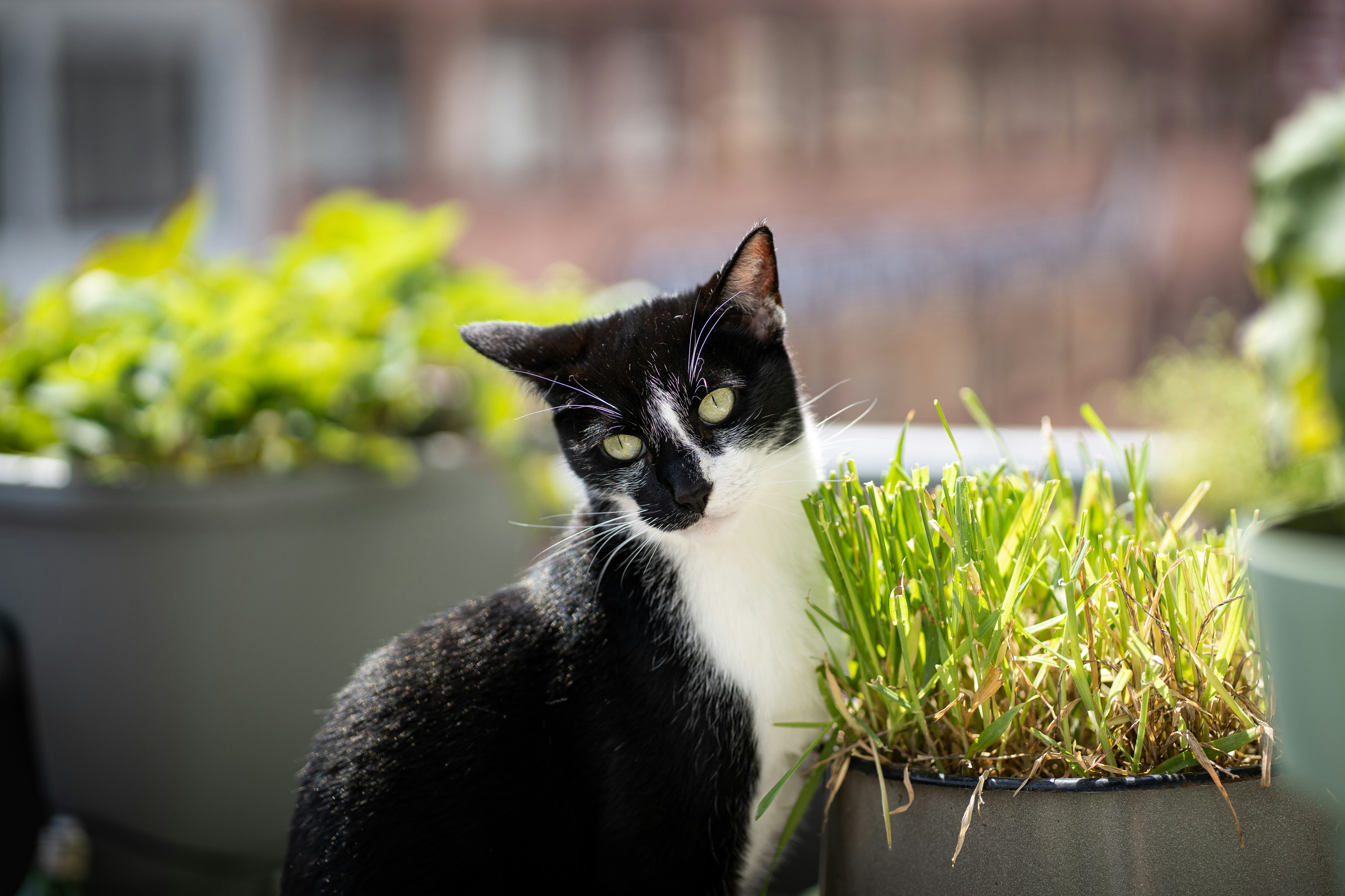 Photo by printlinebyflo