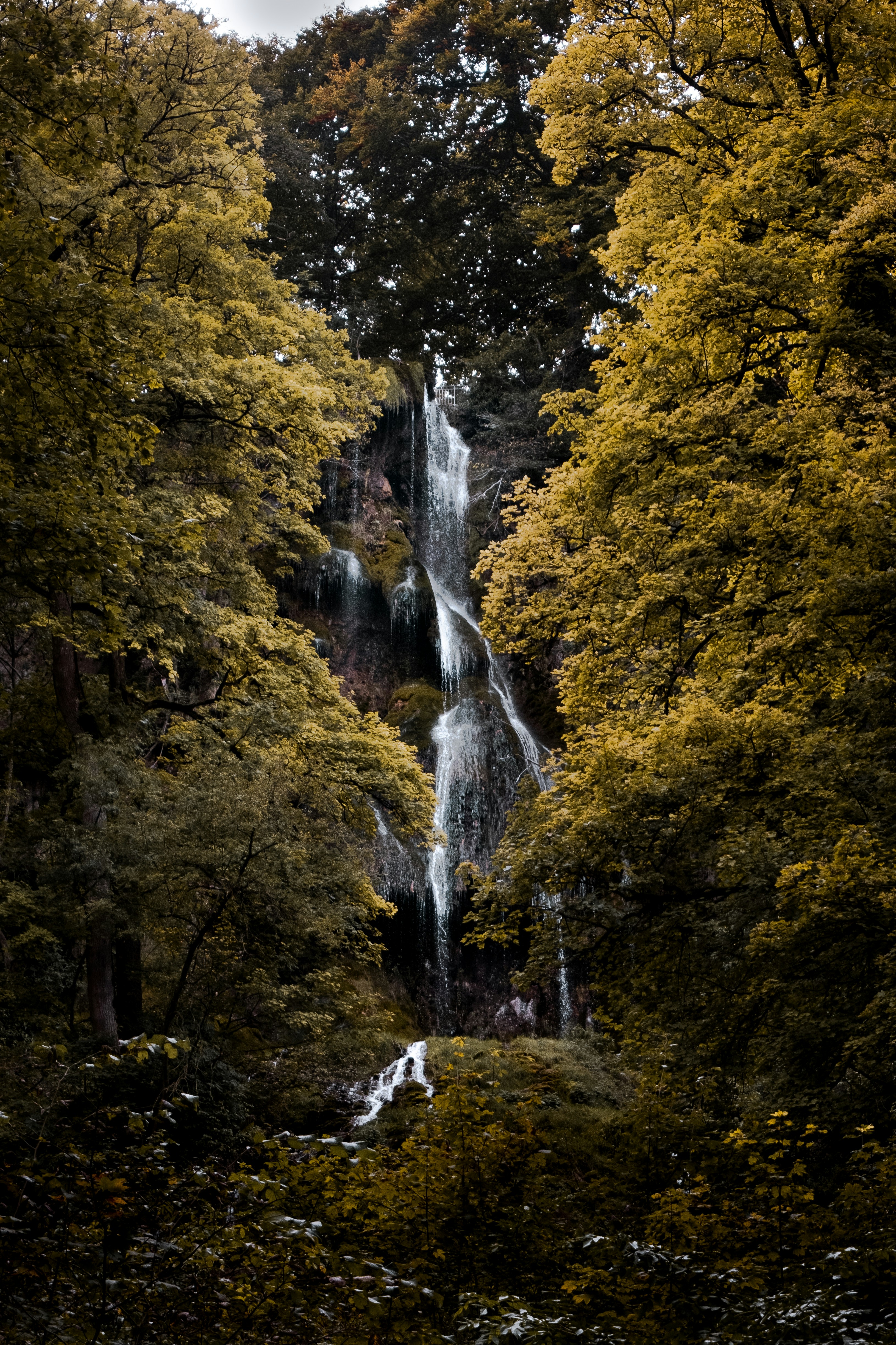 Photo by kumas_taverne