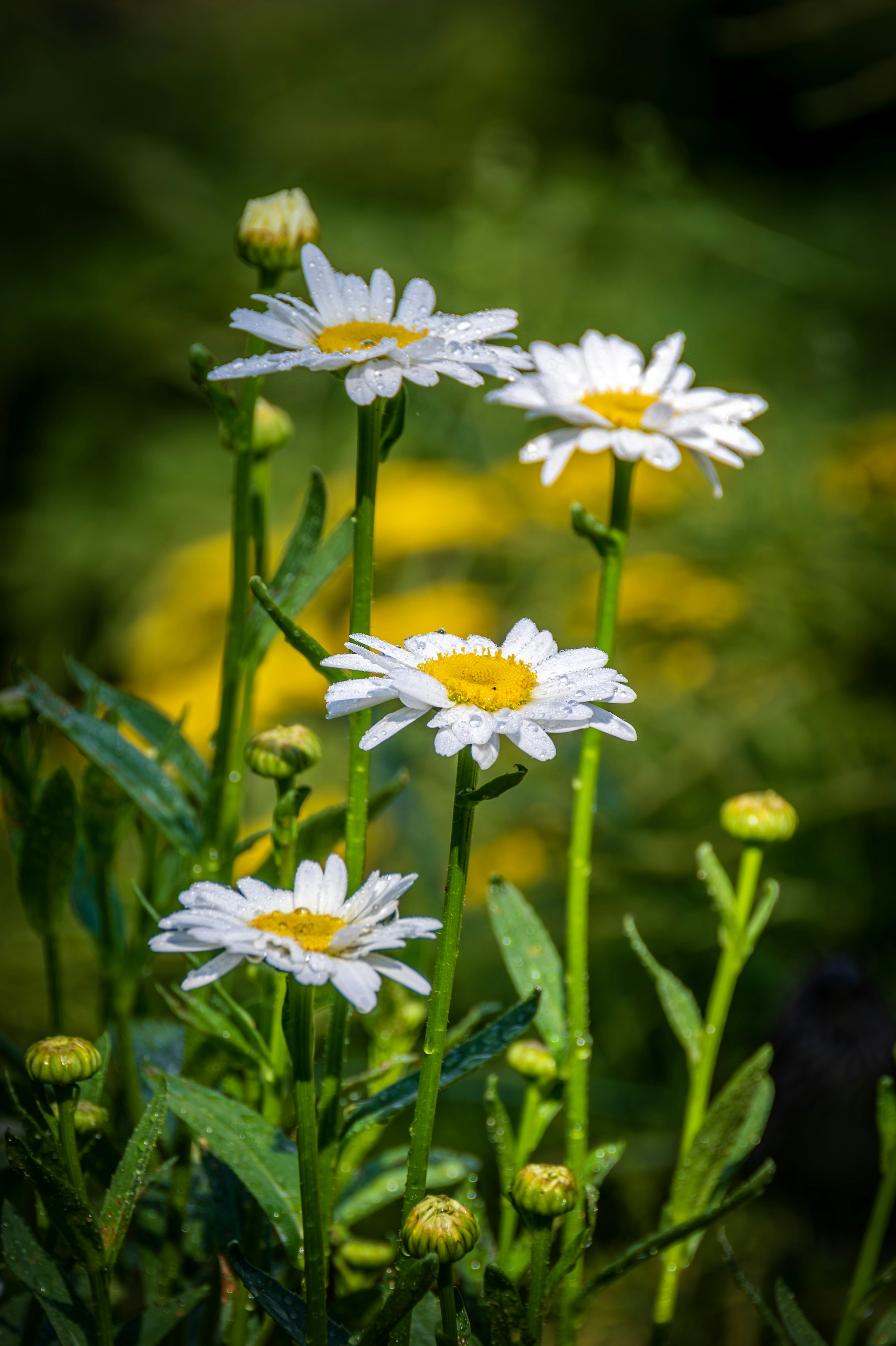 Photo by rthiemann