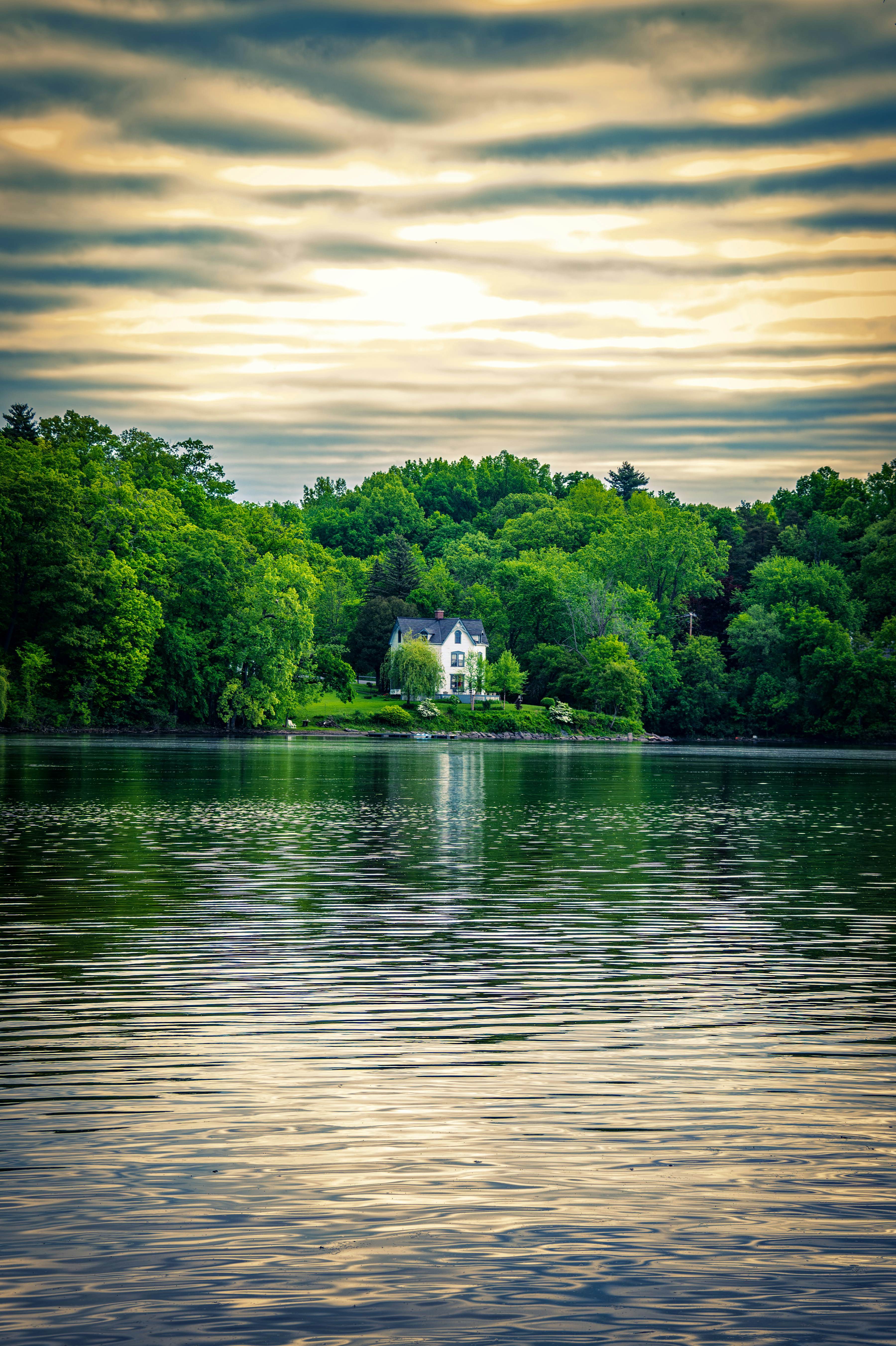 A large body of water surrounded by trees