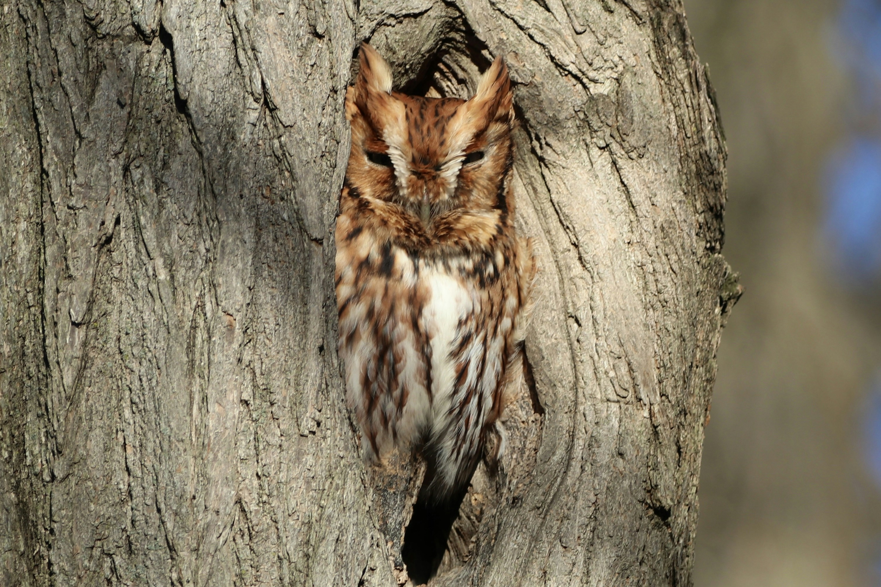 Photo by paulwrentmore