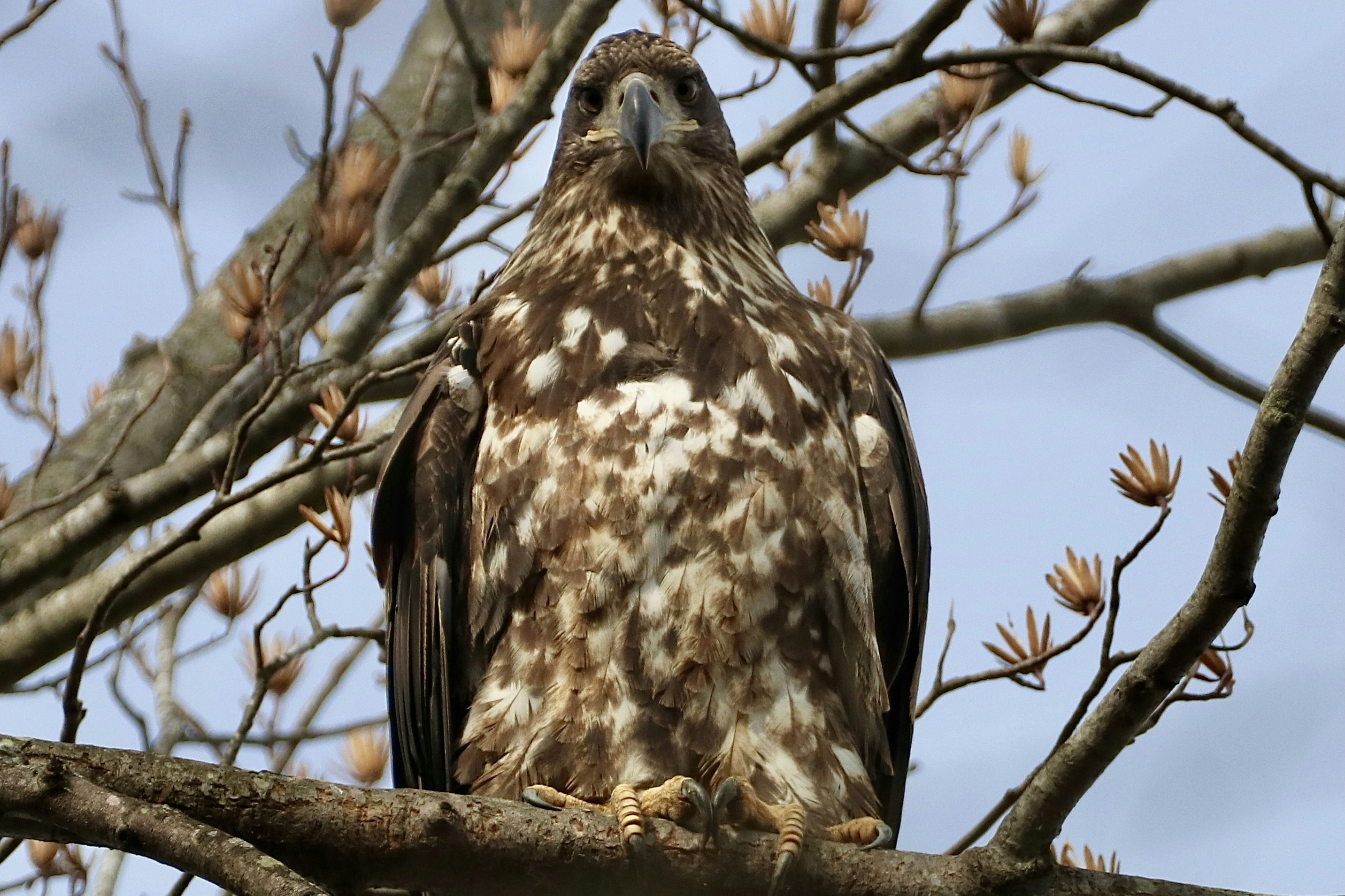 Photo by paulwrentmore