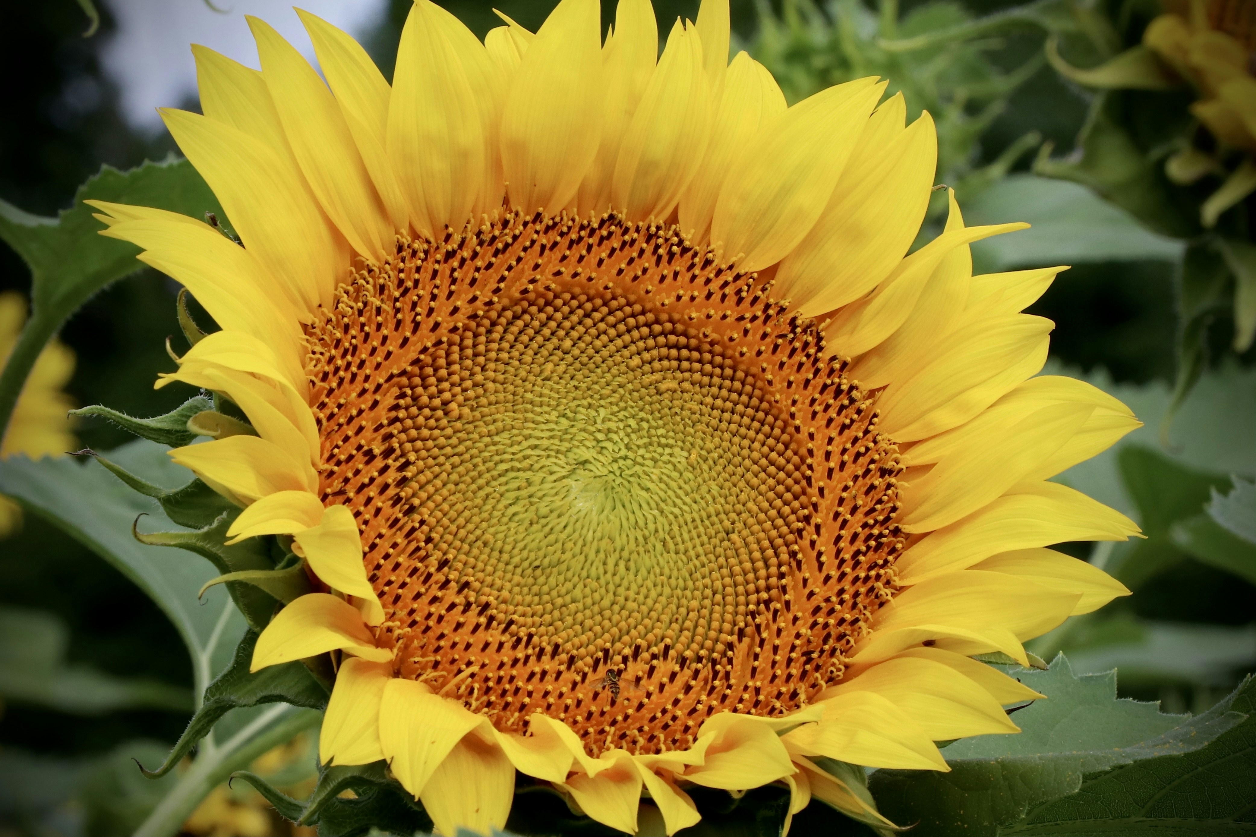 Photo by paulwrentmore