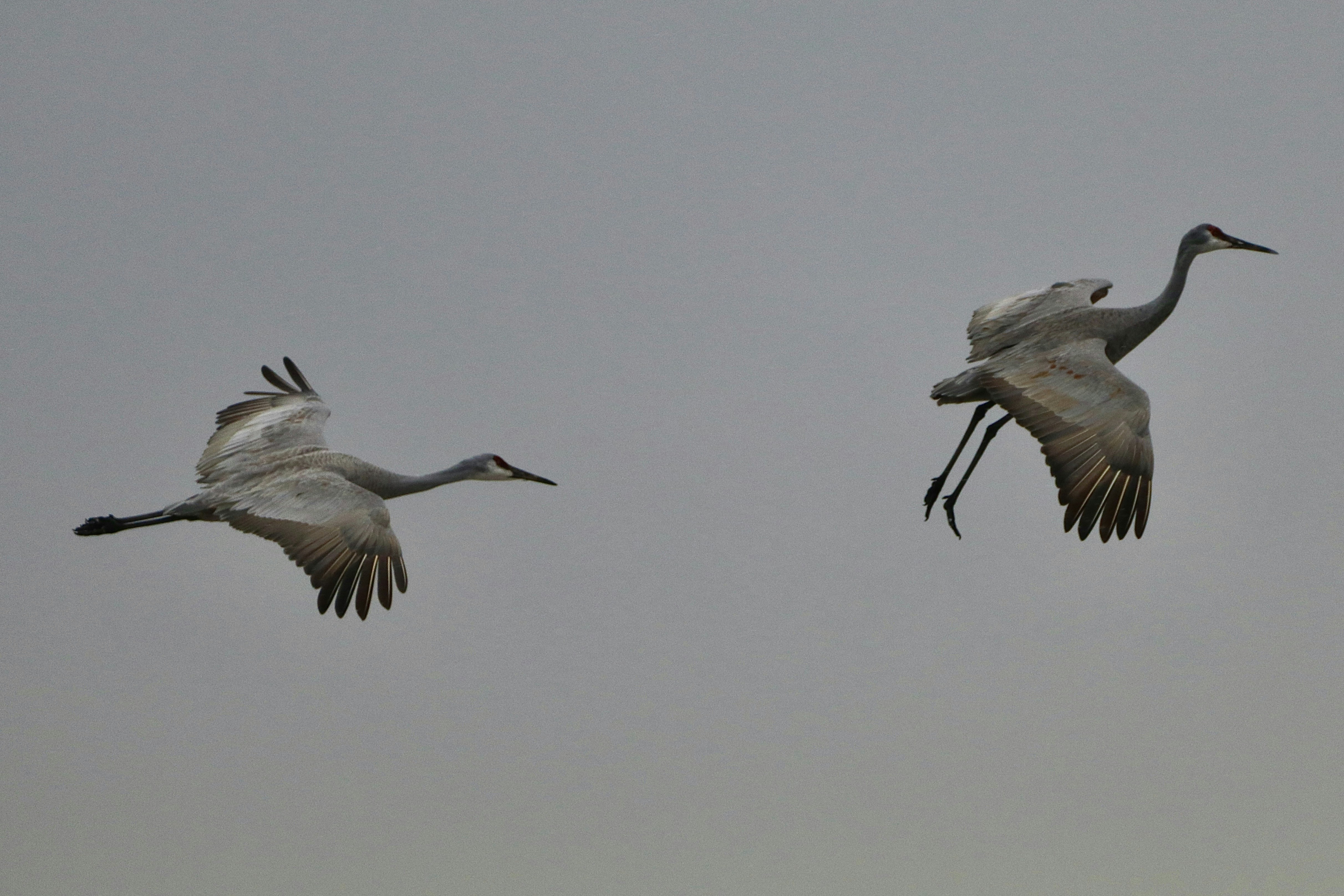 Photo by paulwrentmore