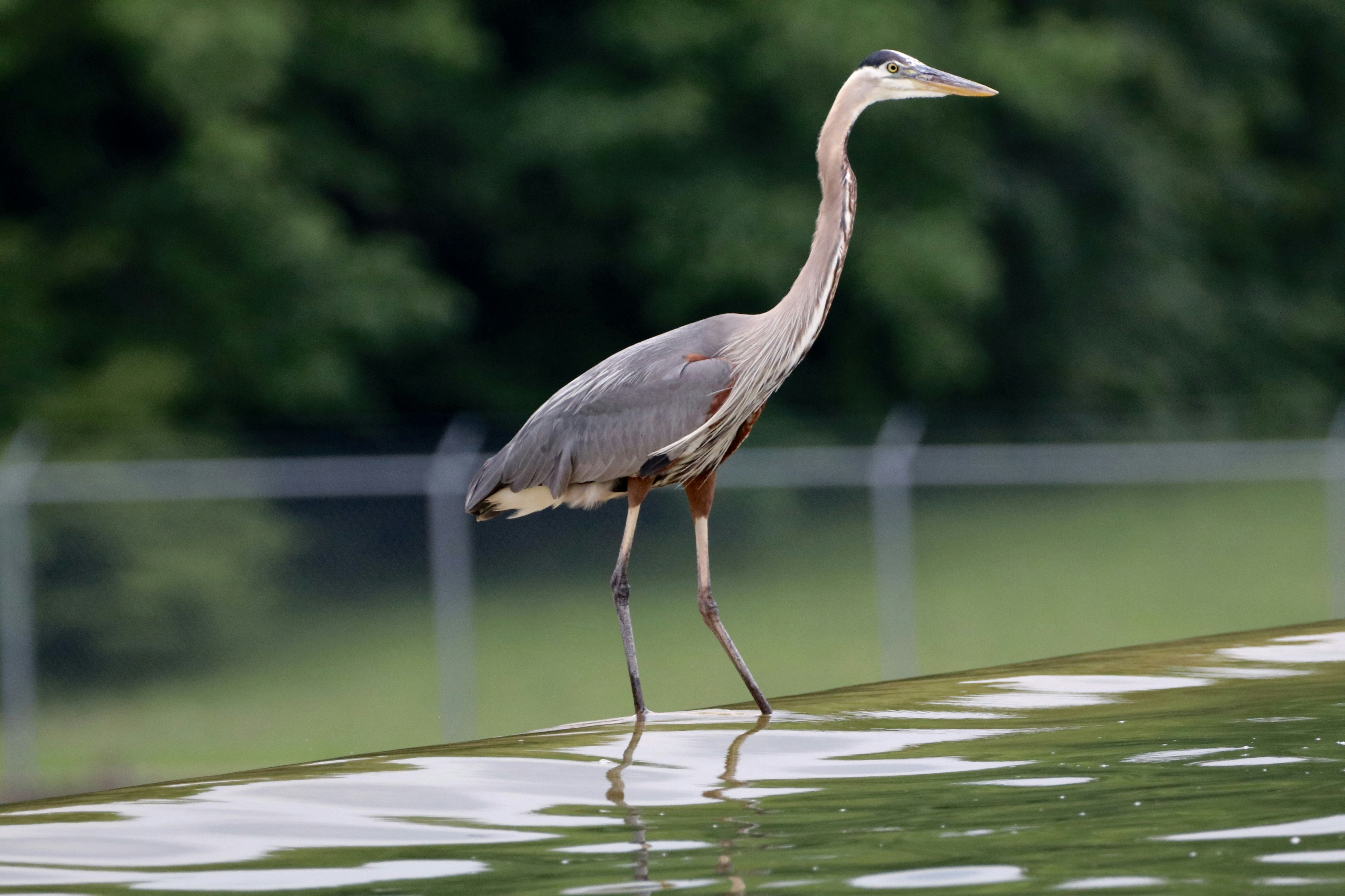 Photo by paulwrentmore