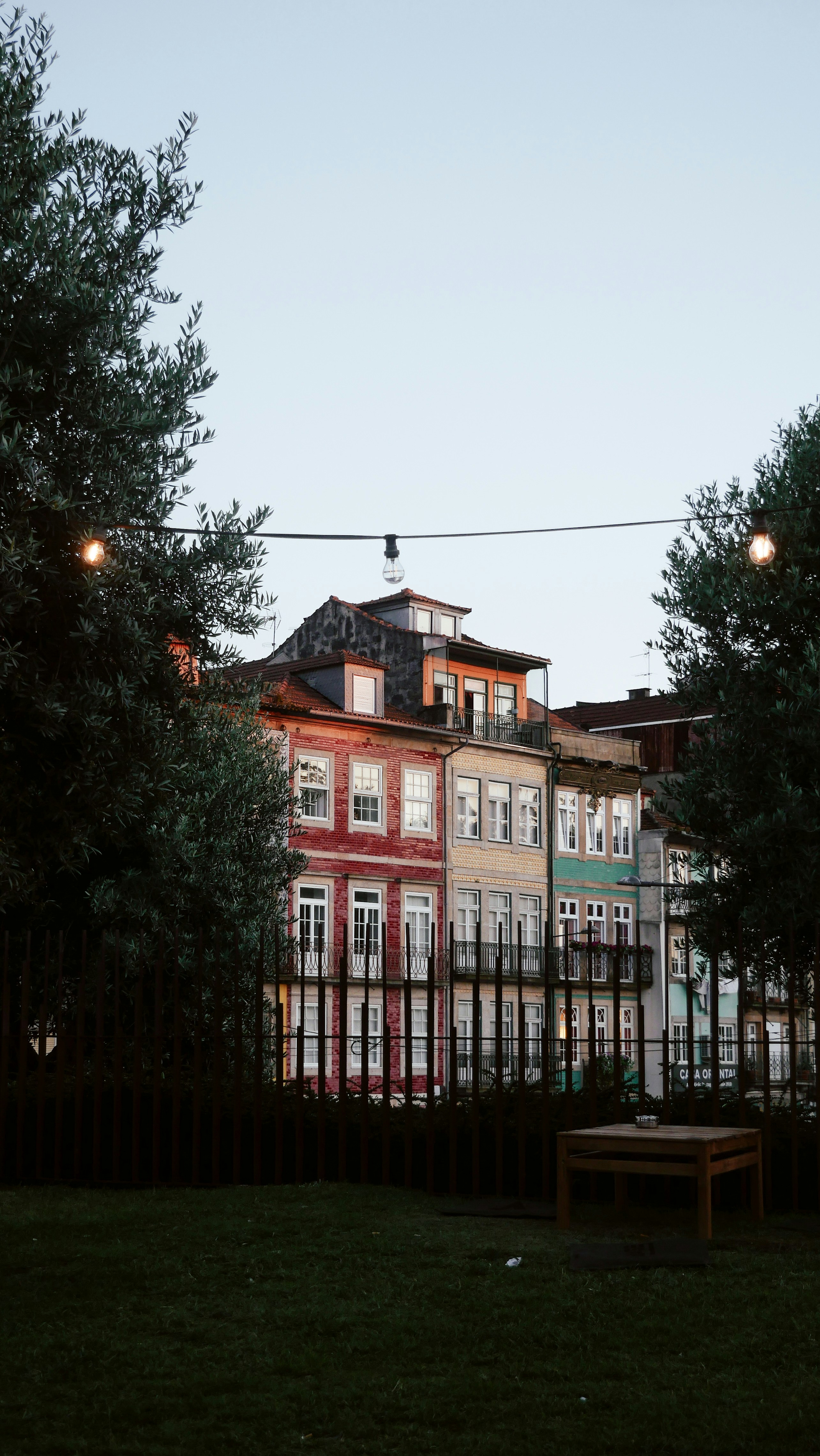 The Wine Bar Scene: Port, Natural Wine and Beyond