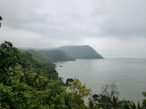 A large body of water surrounded by trees