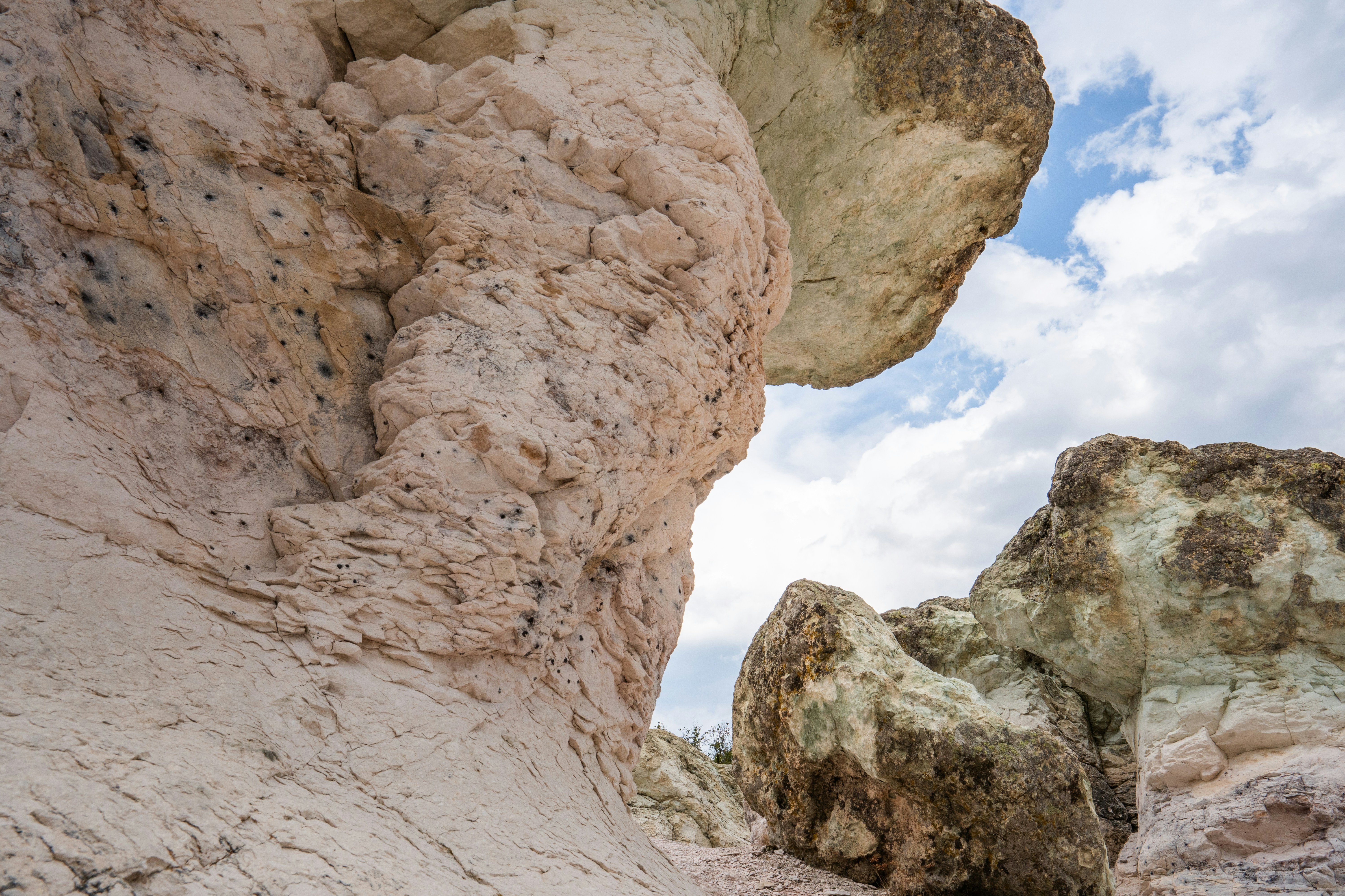 Photo by kristiqnspasov19