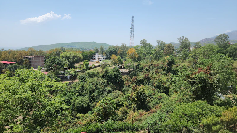 Best Weekend Getaways From Jalandhar: Short Trips Worth Every Kilometre
