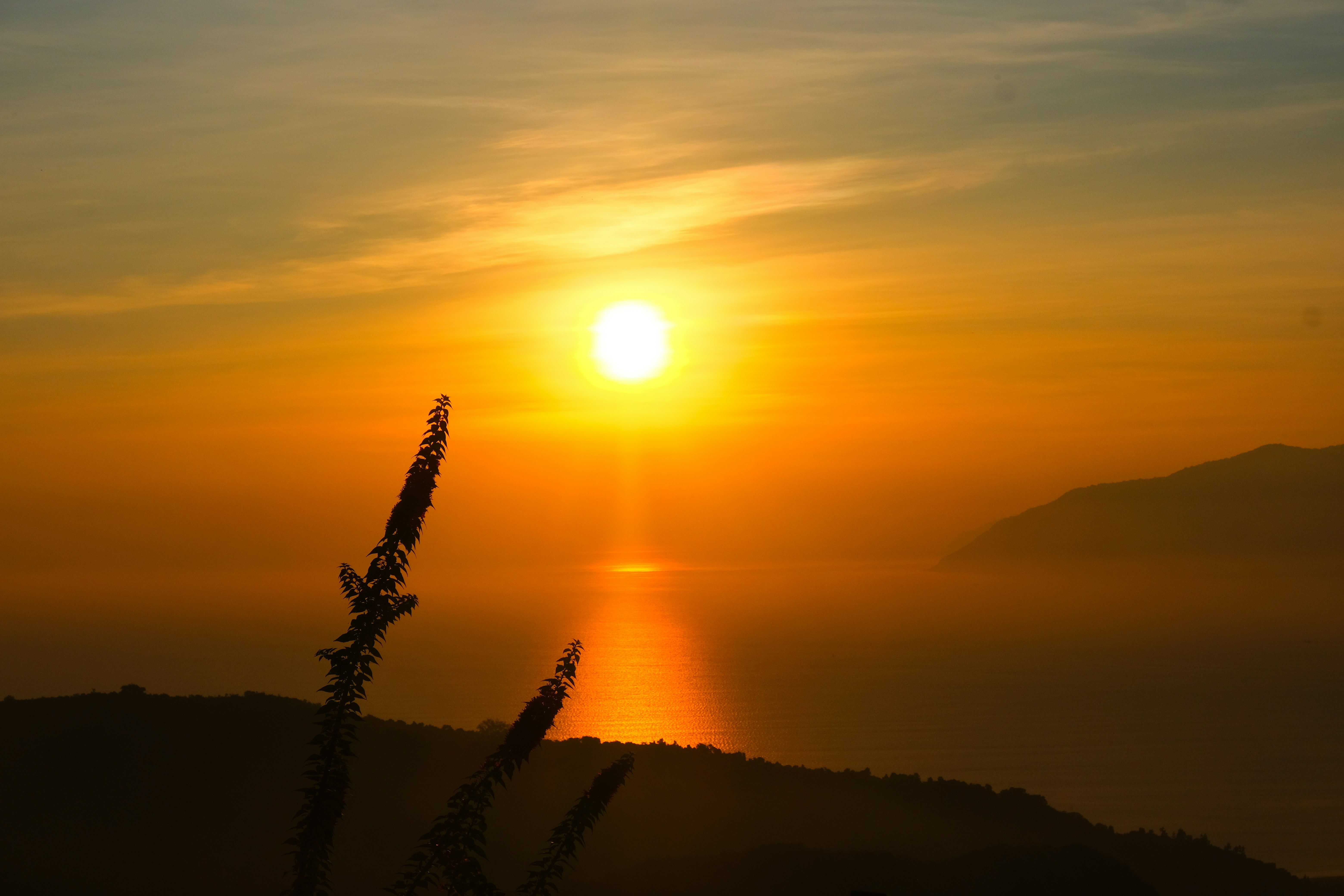 Photo by dvhoang2106