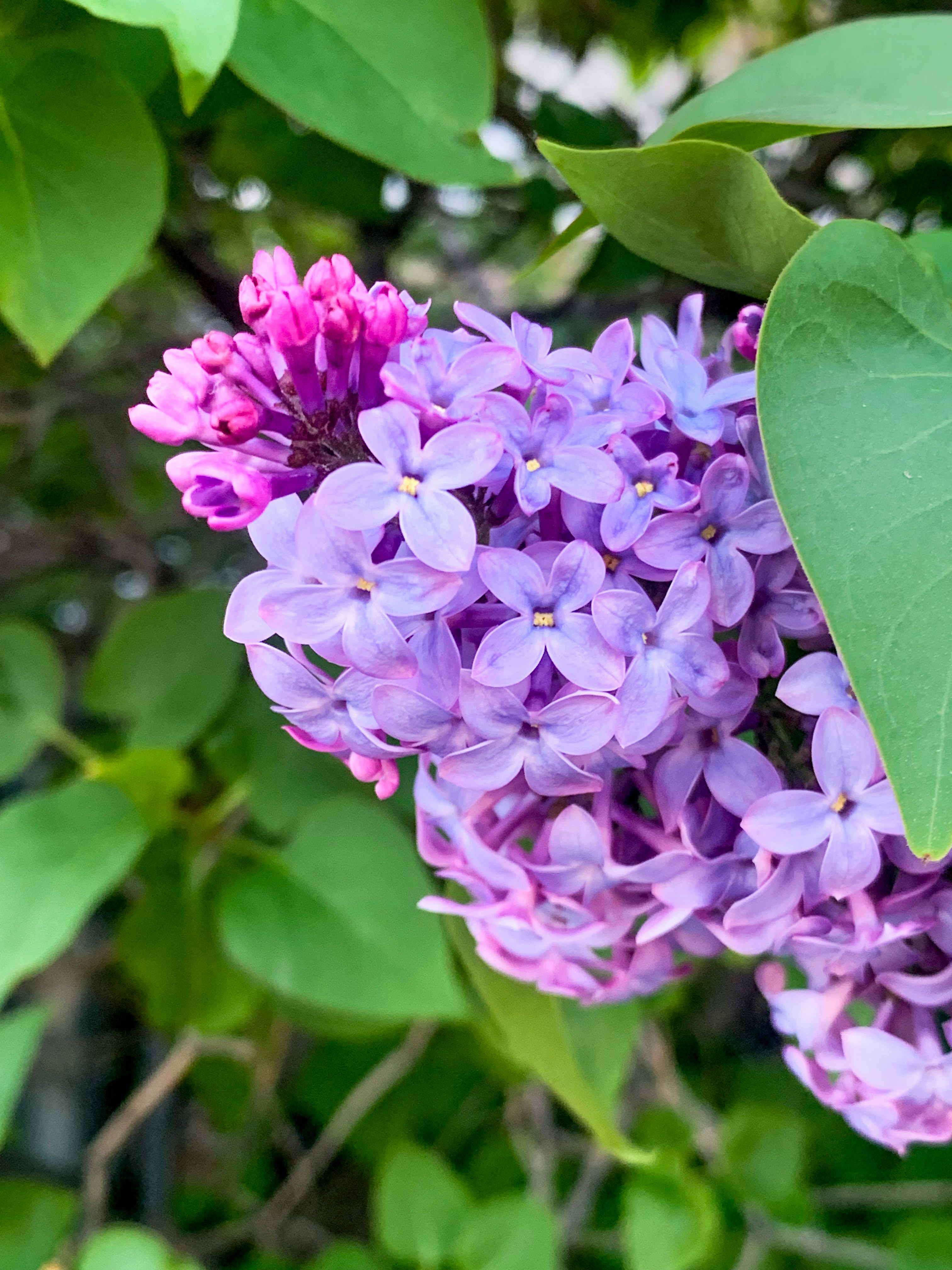 Photo by nwilloughby