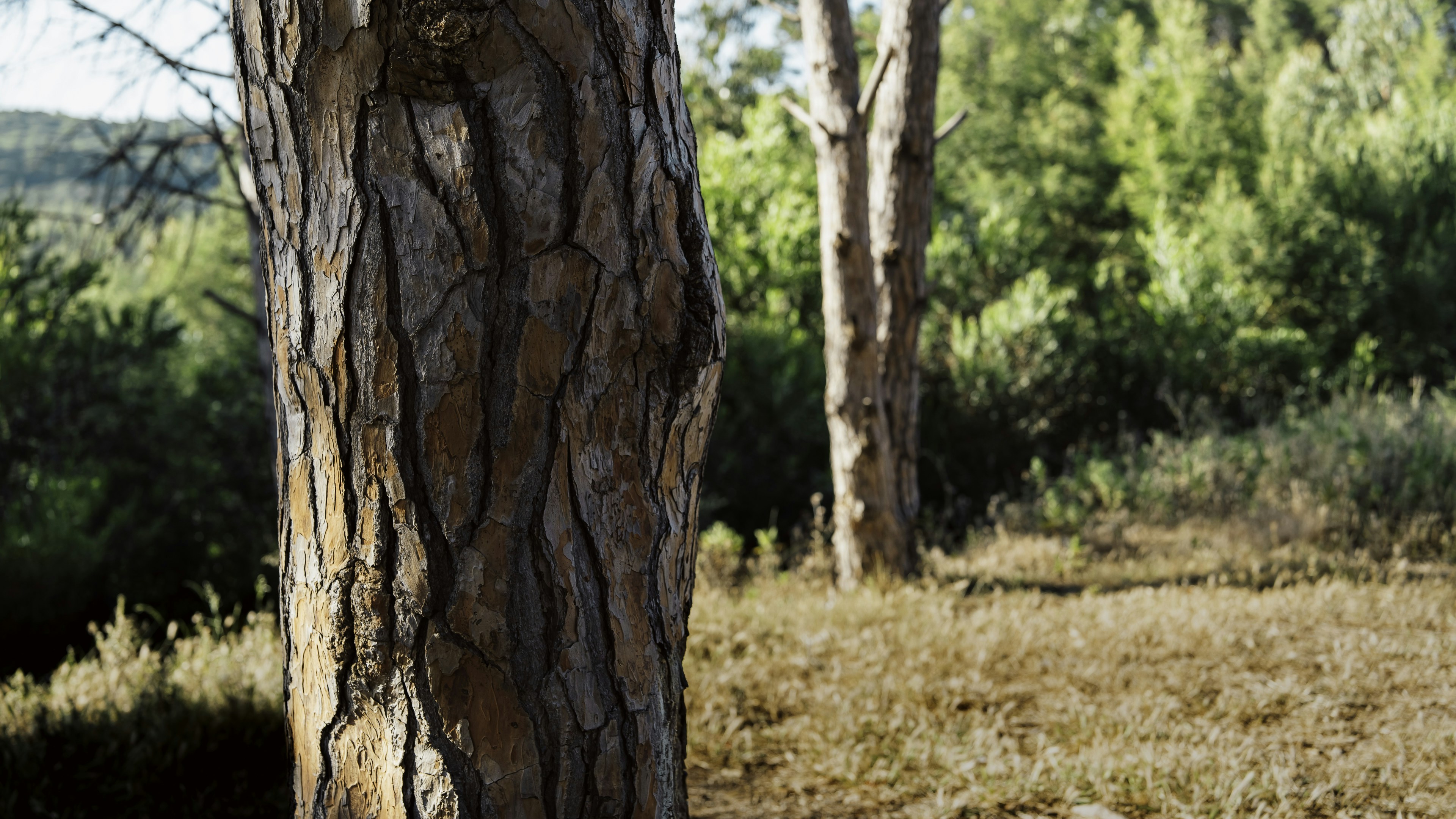 Photo by theemanofoth