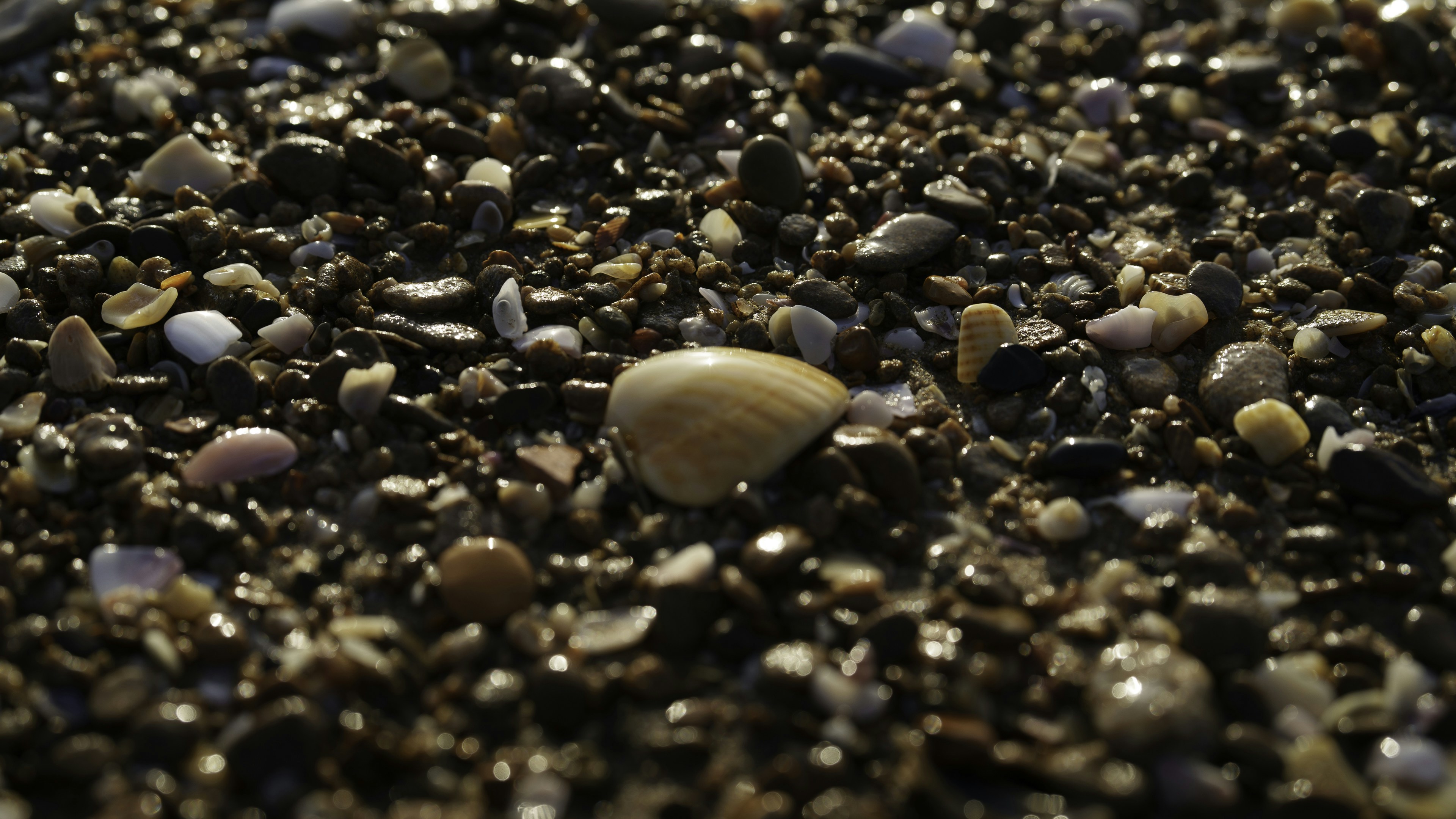 A close up of a mixture of rocks and gravel photo – Free Tangier Image ...