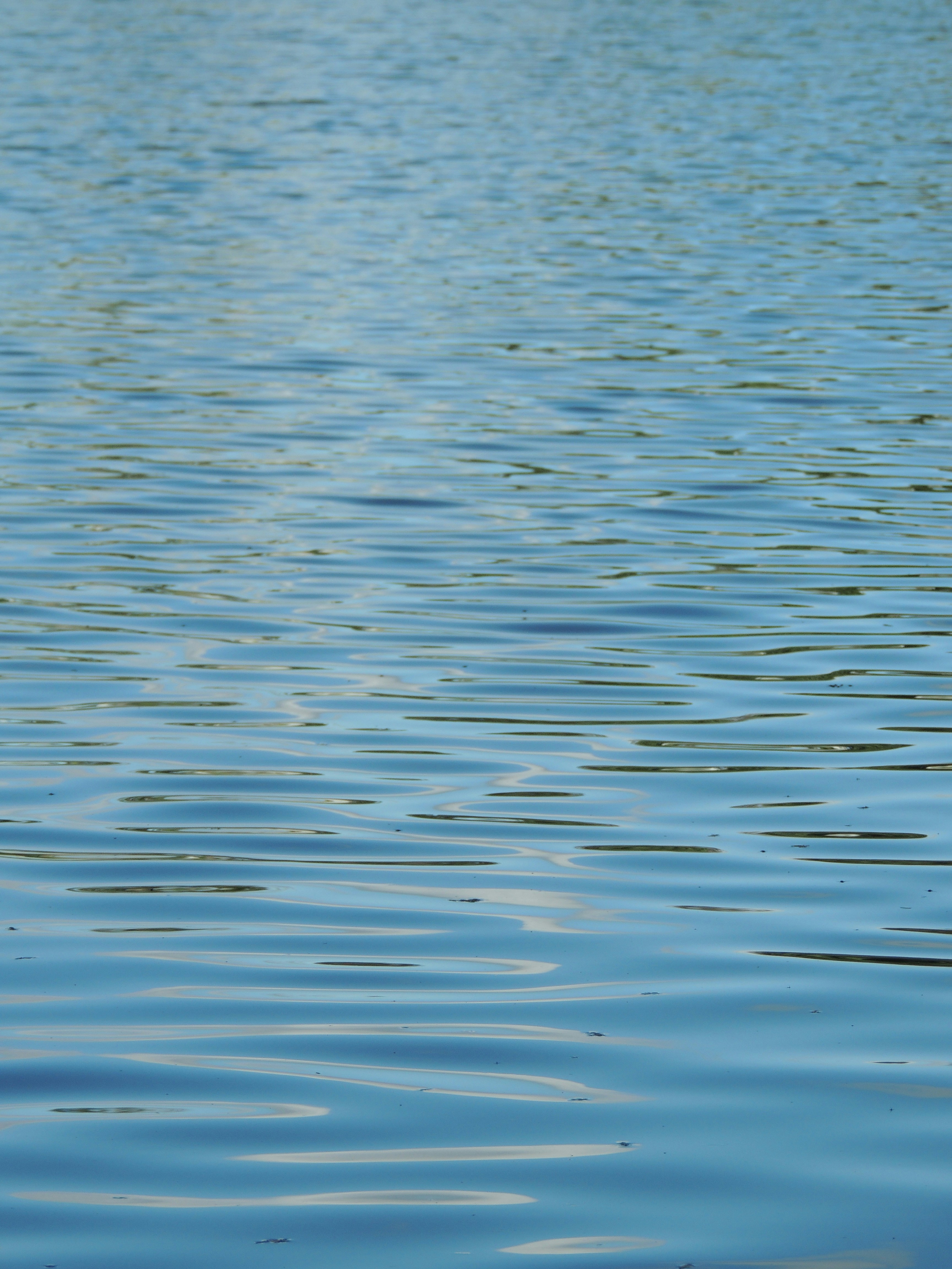 Photo by gnovakovski