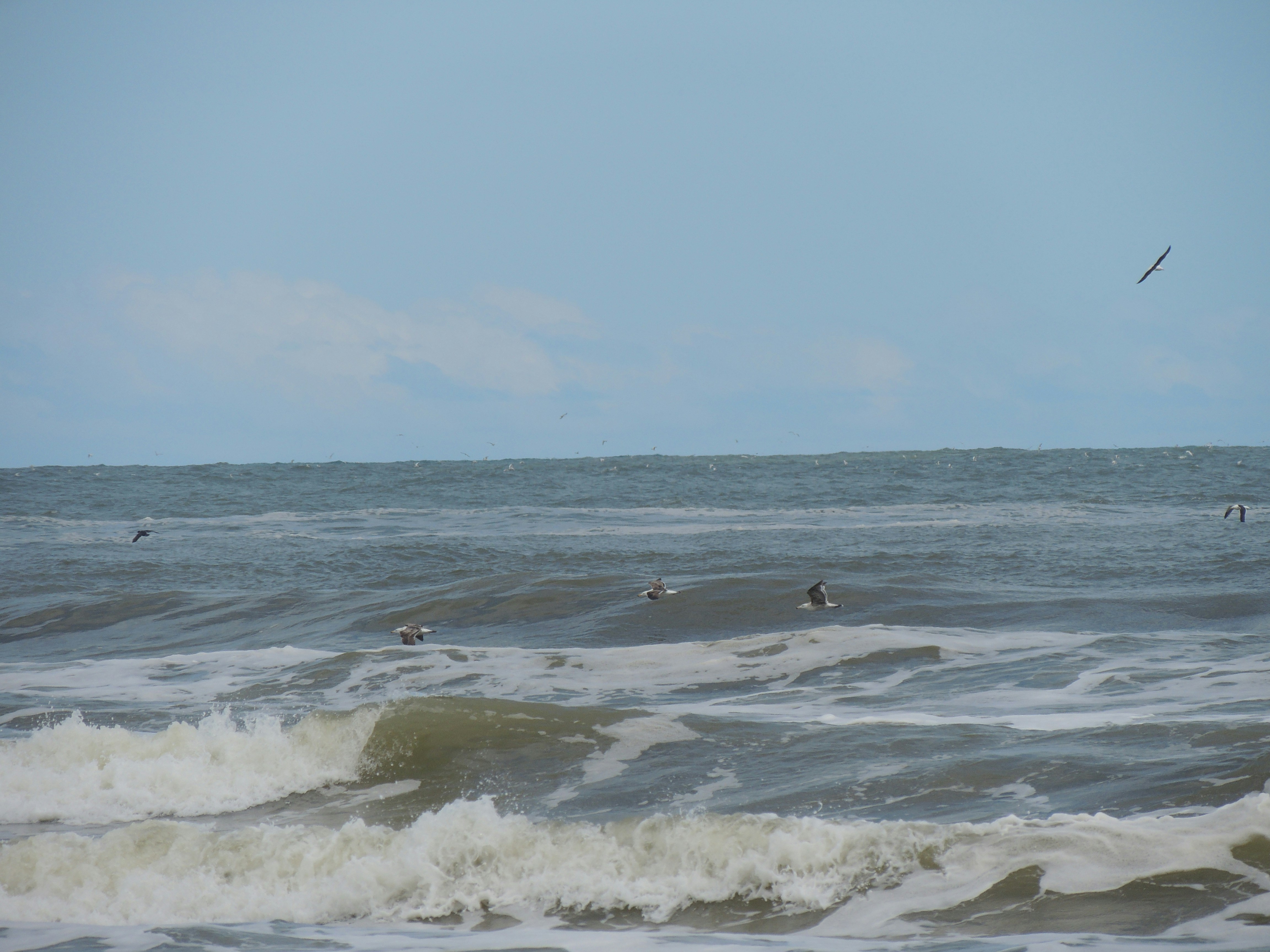 A person riding a surfboard on a wave in the ocean