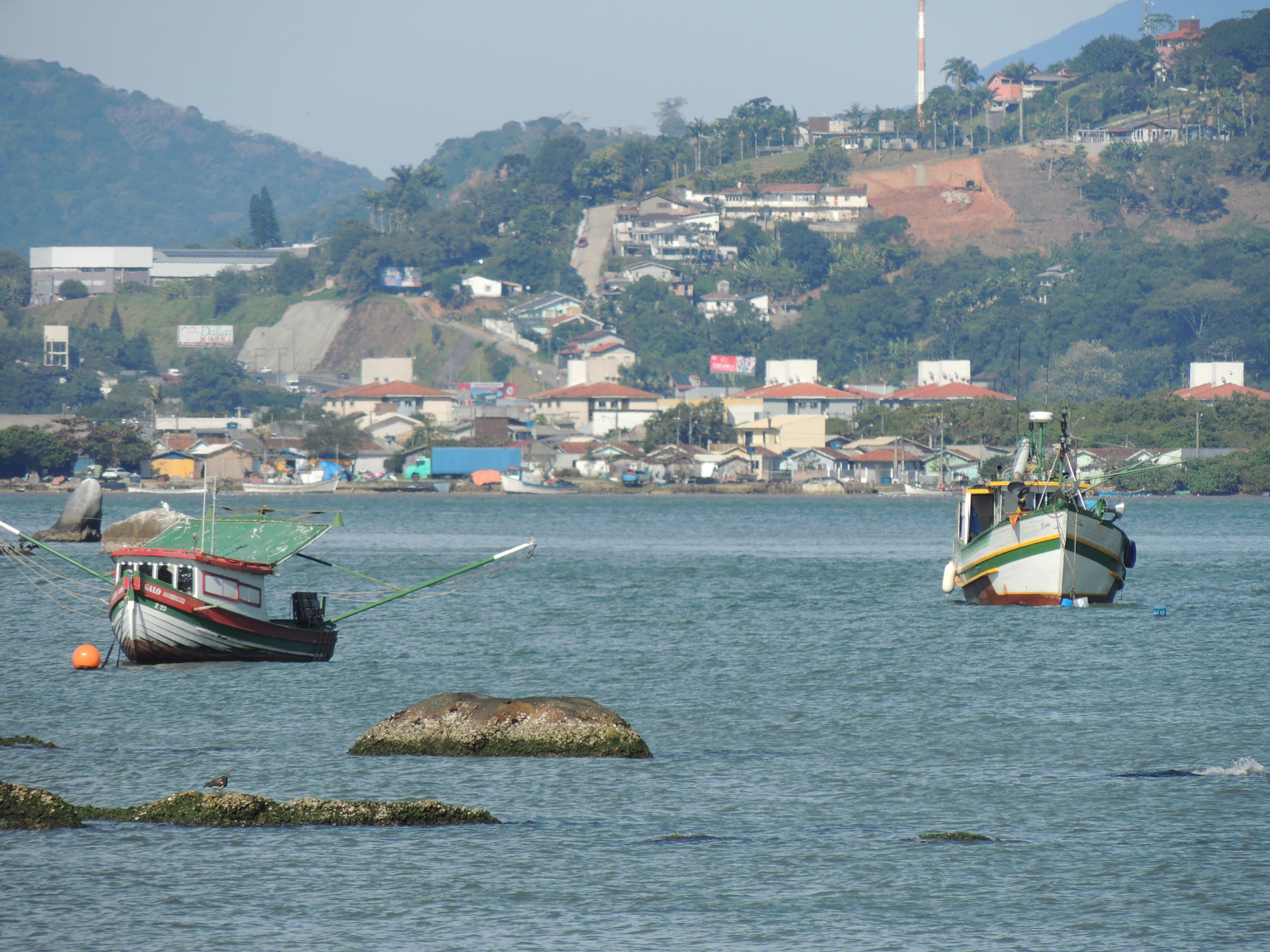 Photo by gnovakovski