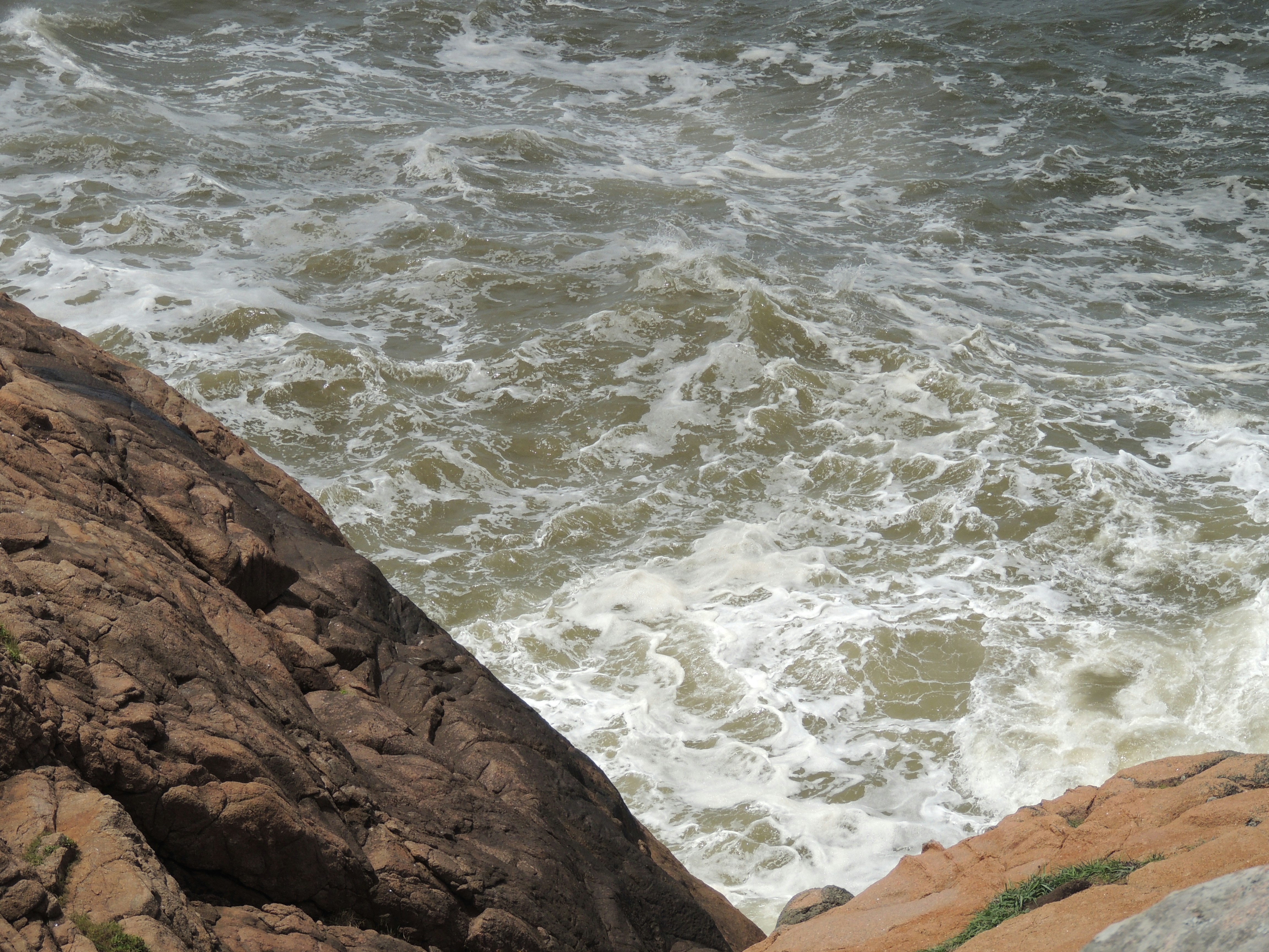 A bird sitting on a rock next to the ocean