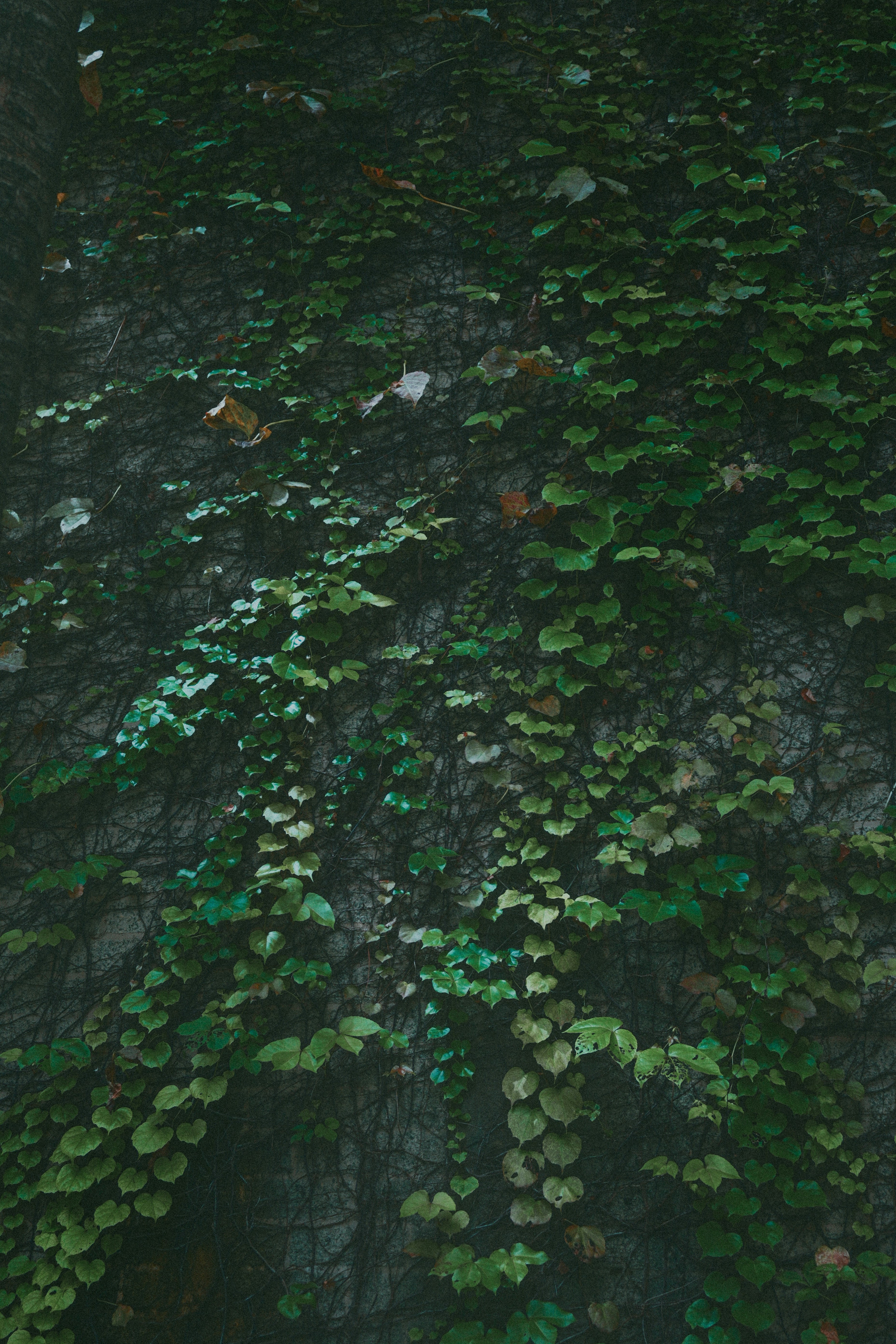 Photo by kinferiority