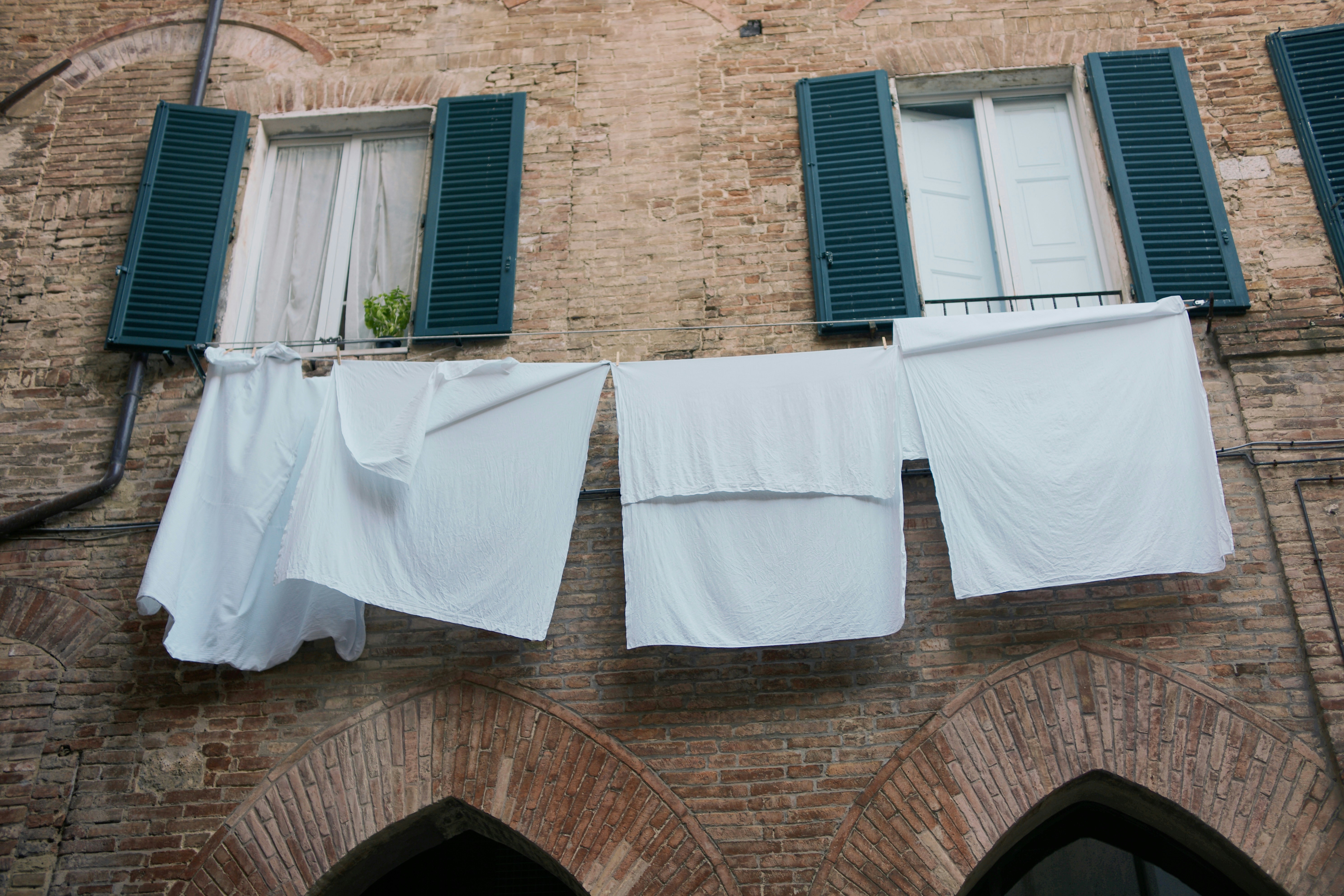 Photo by joshwilburne