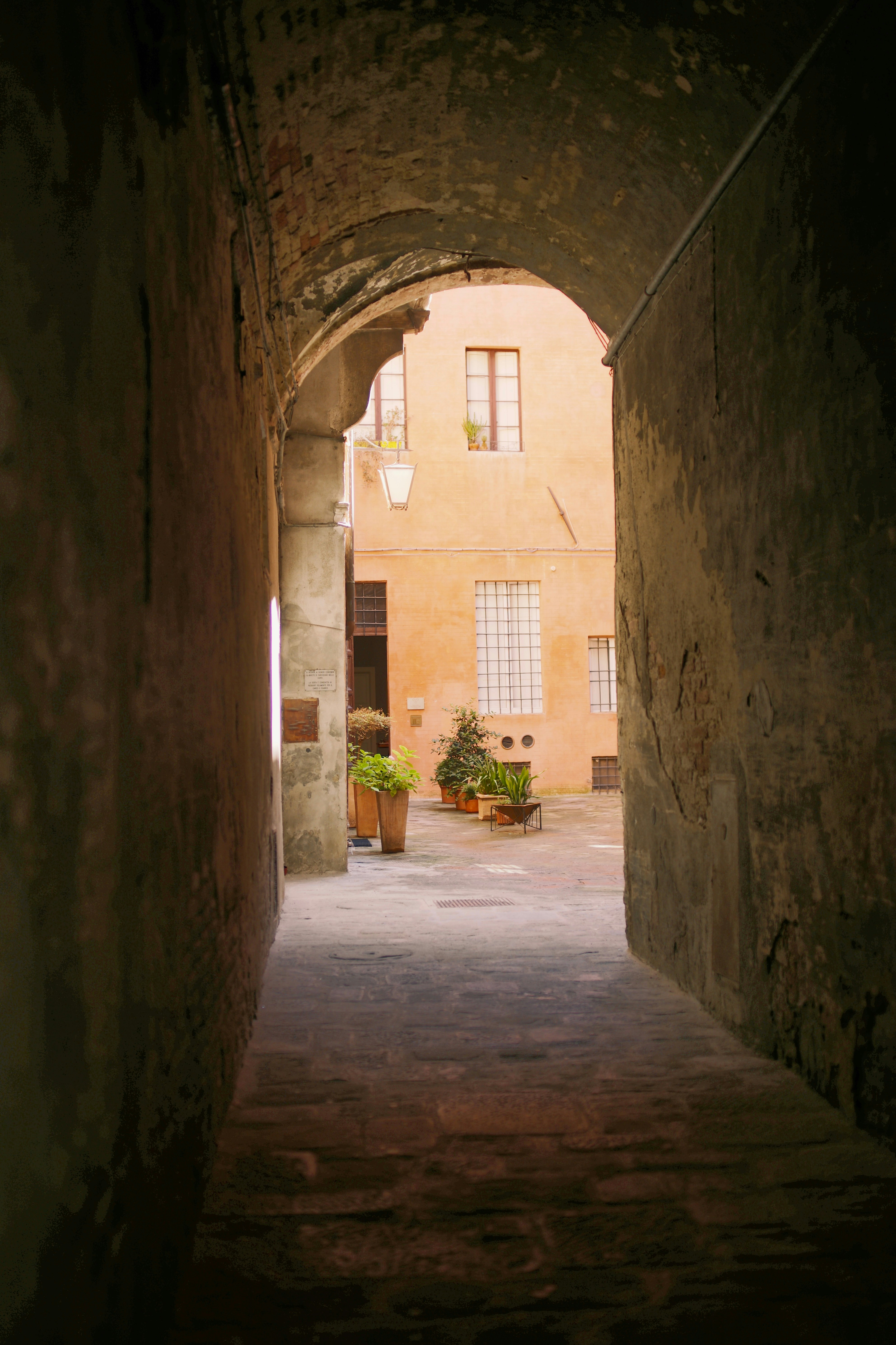 Photo by joshwilburne