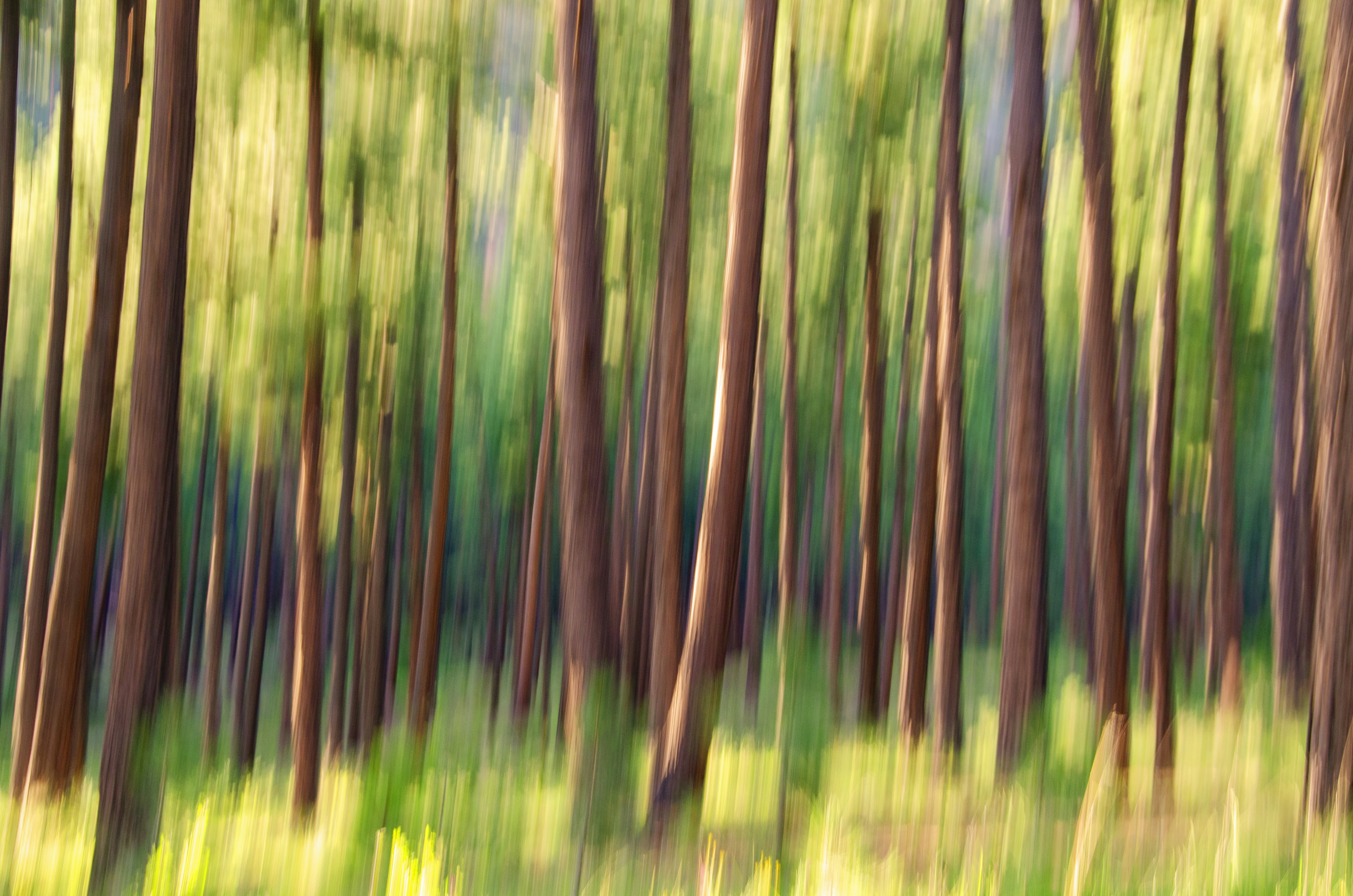 Photo by jensineodom