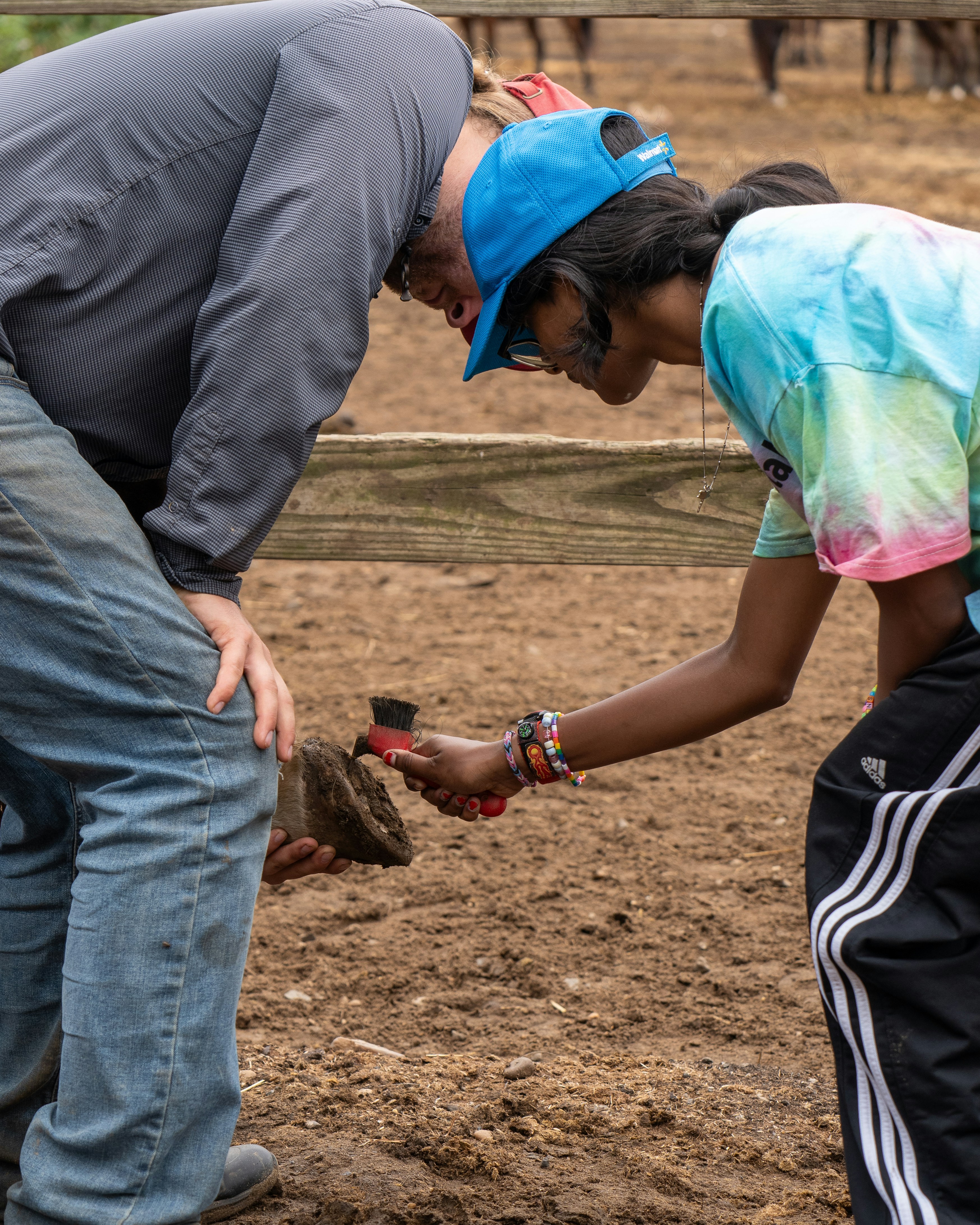 A man and a woman looking at a bird