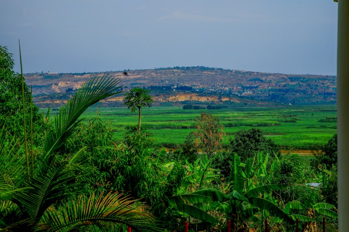 A view of a lush green valley from a house