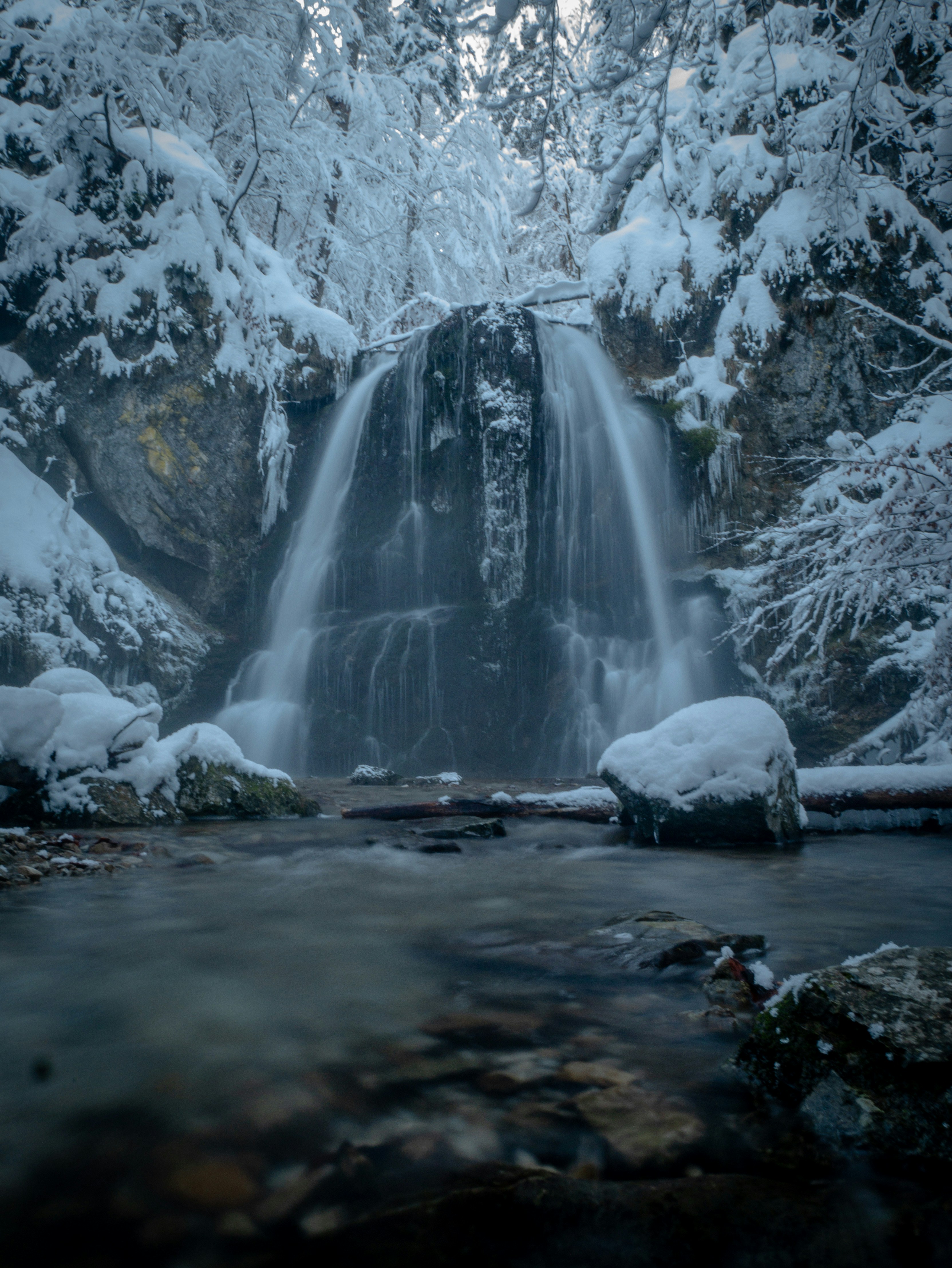 Una cascada en medio de un bosque nevado foto – Imagen de Animal gratuita  en Unsplash, image size:3000x3996