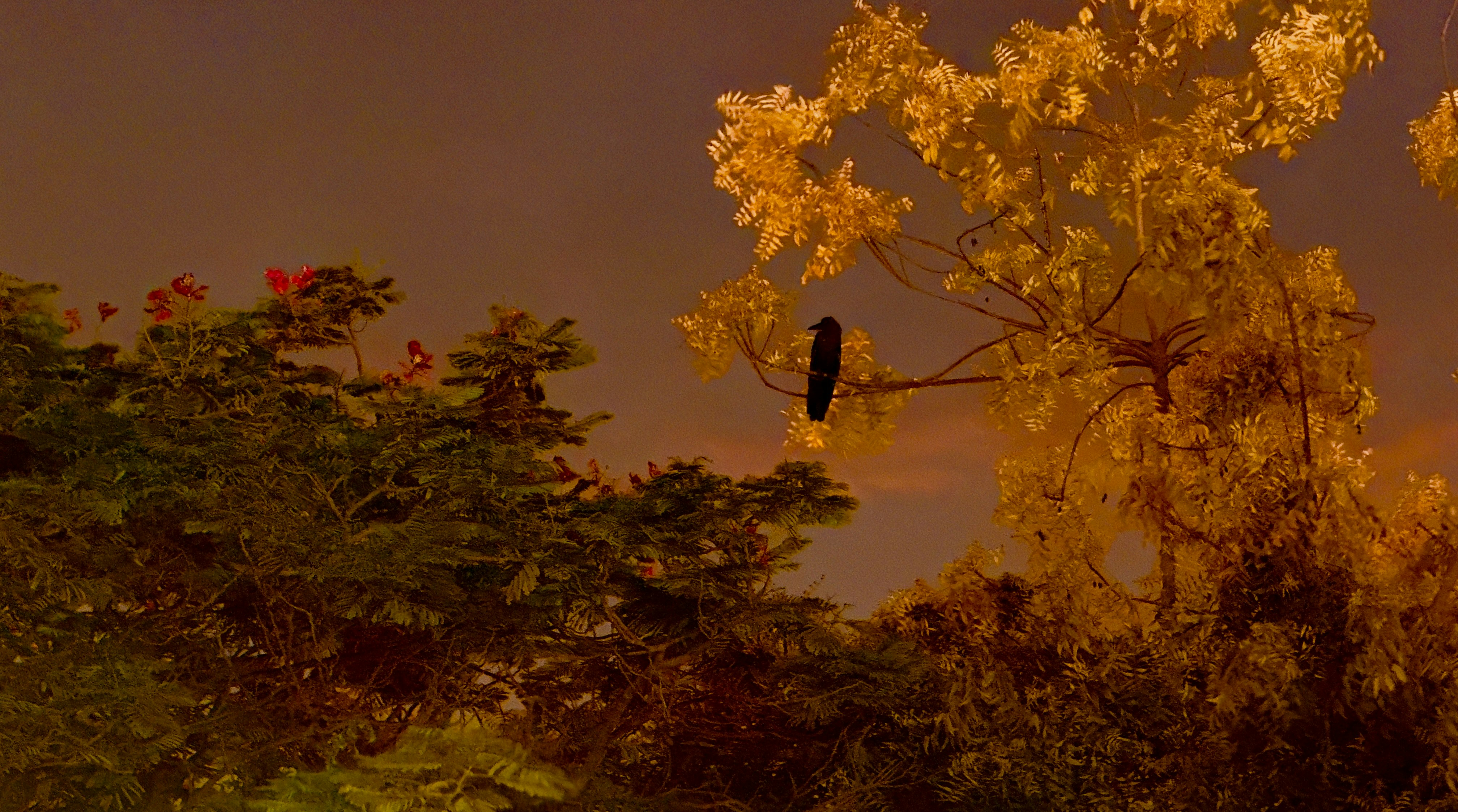 A bird is sitting on a tree branch