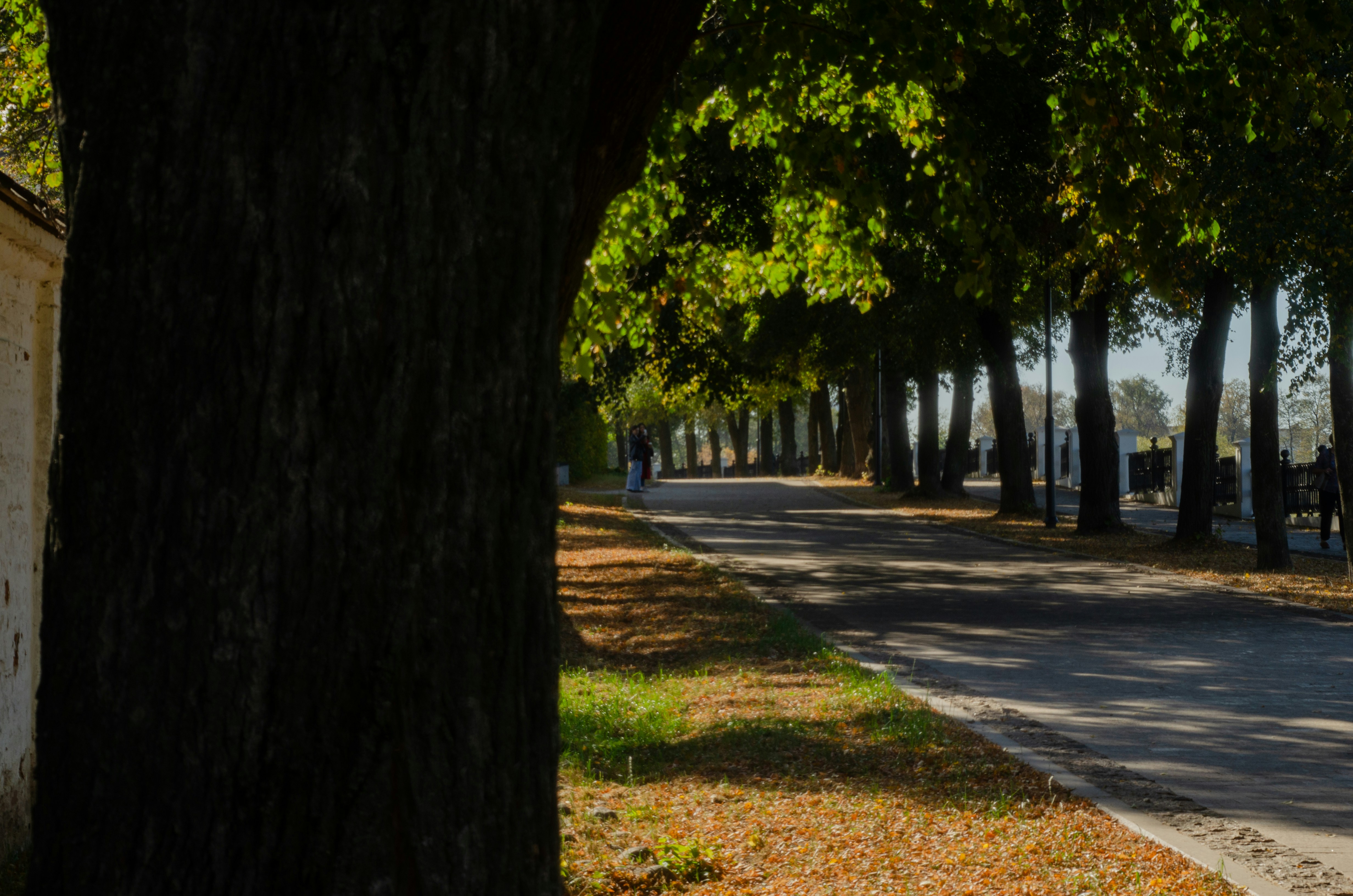 Photo by andrilliardbond