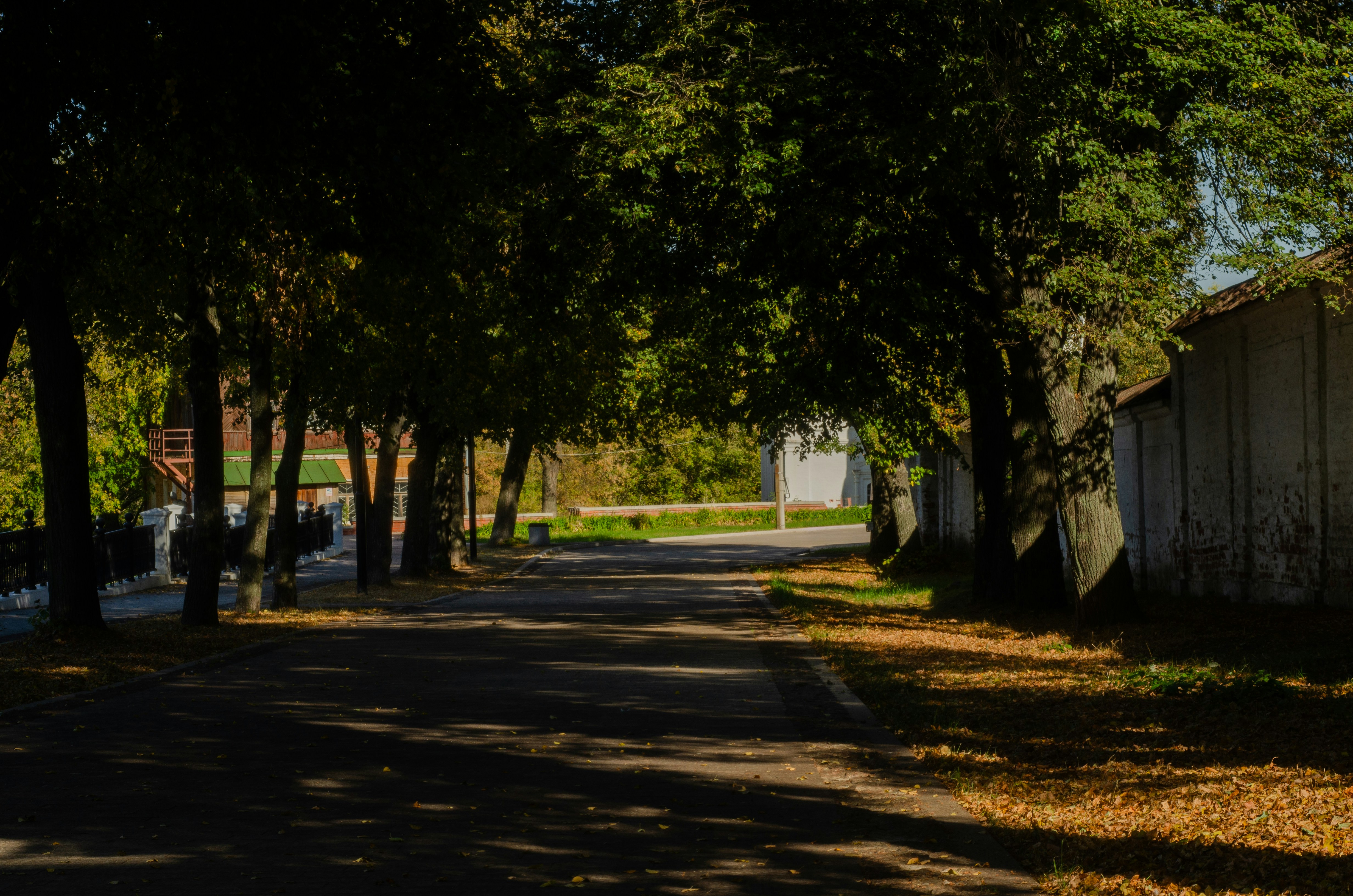 Photo by andrilliardbond