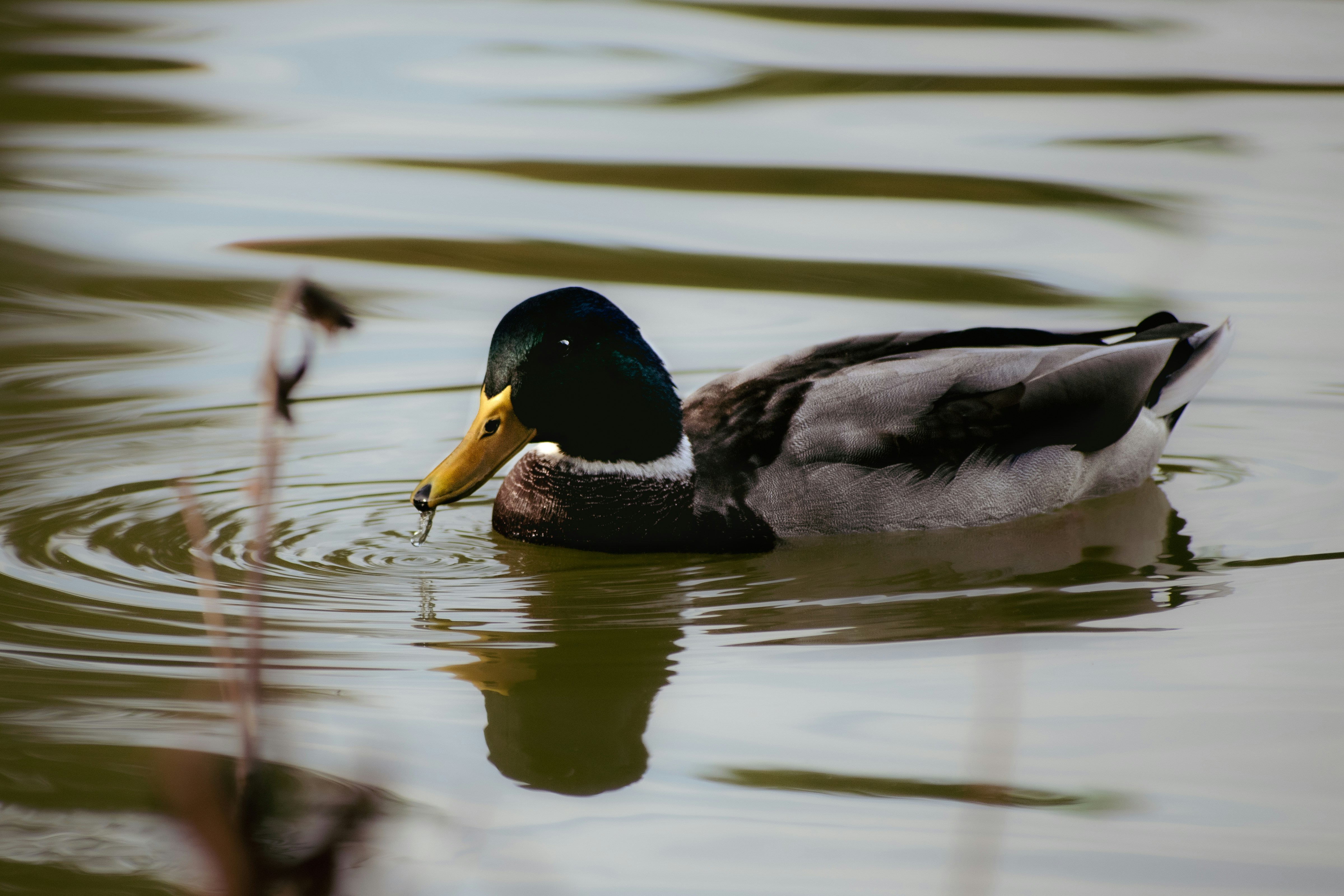 Photo by colorful_jelly