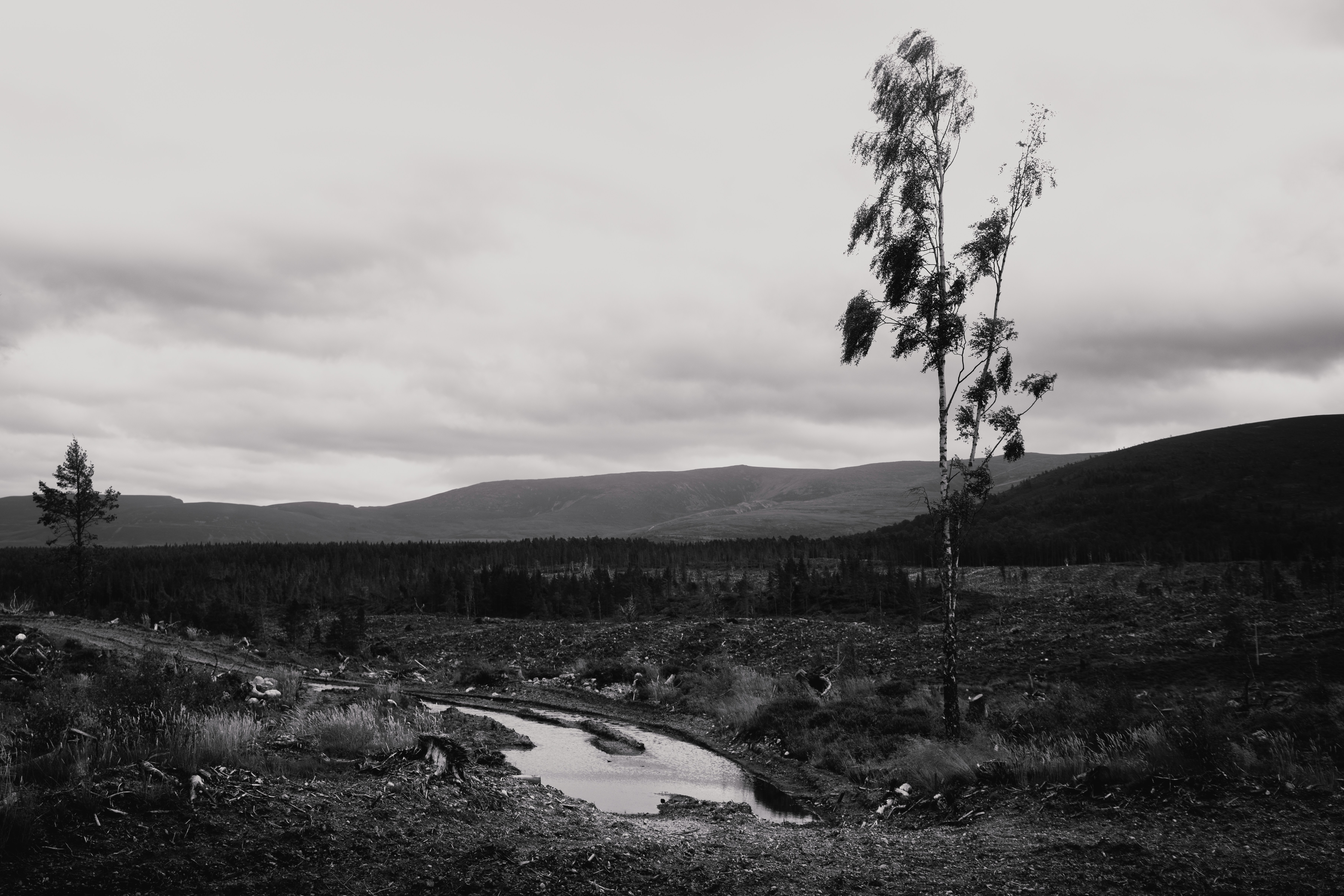 Photo by infernisvox