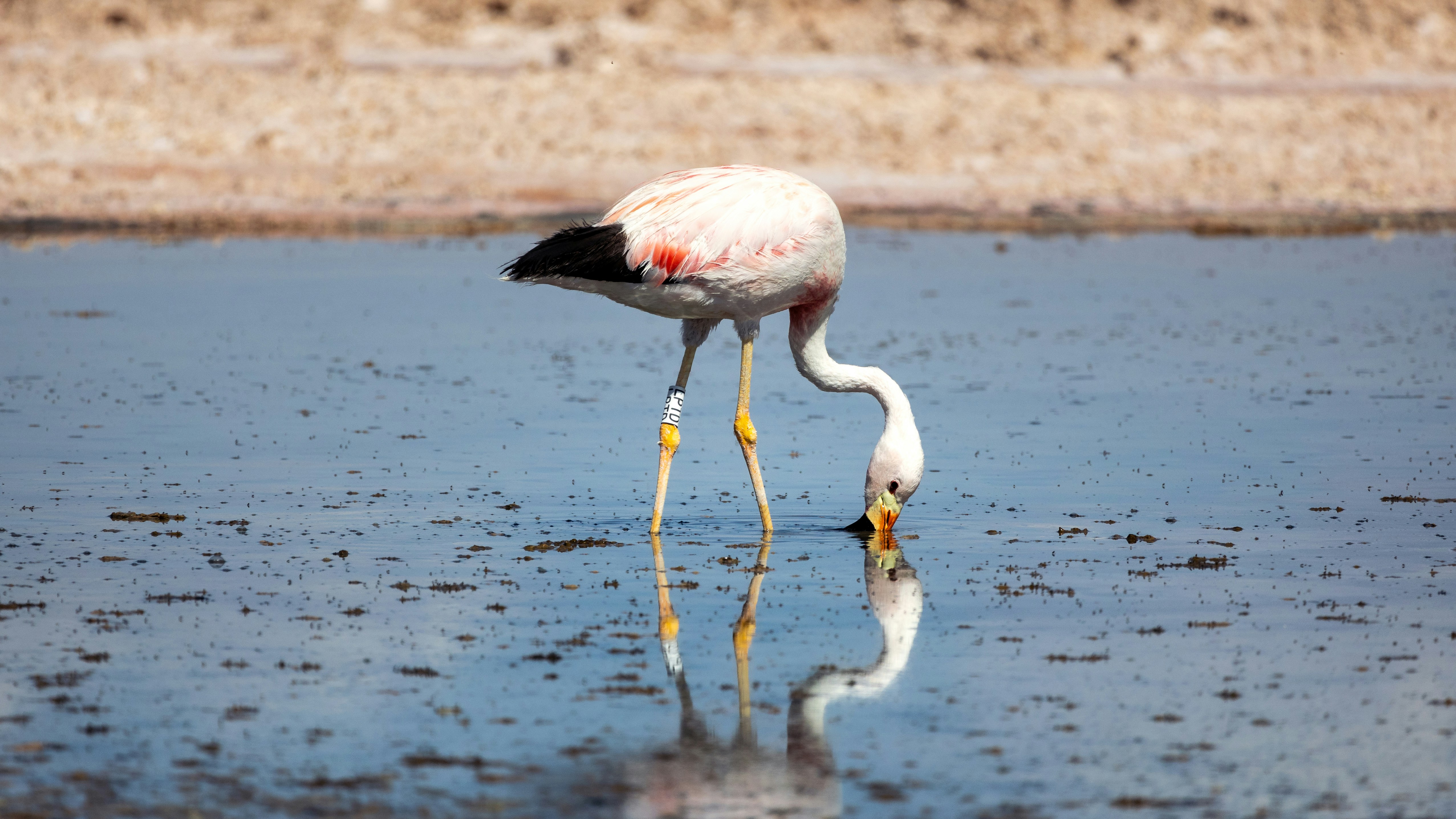 Photo by marekpiwnicki