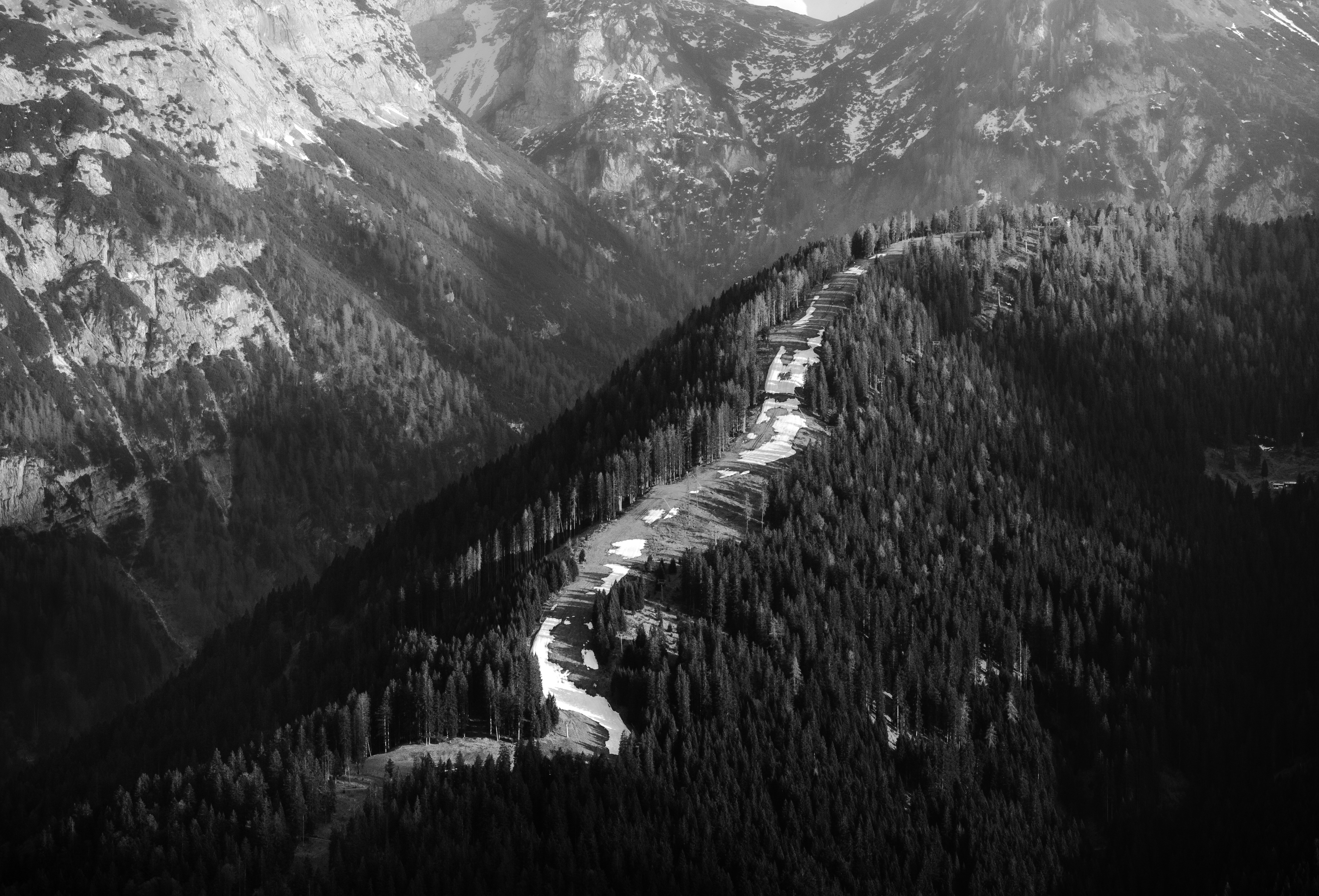 Photo by marekpiwnicki