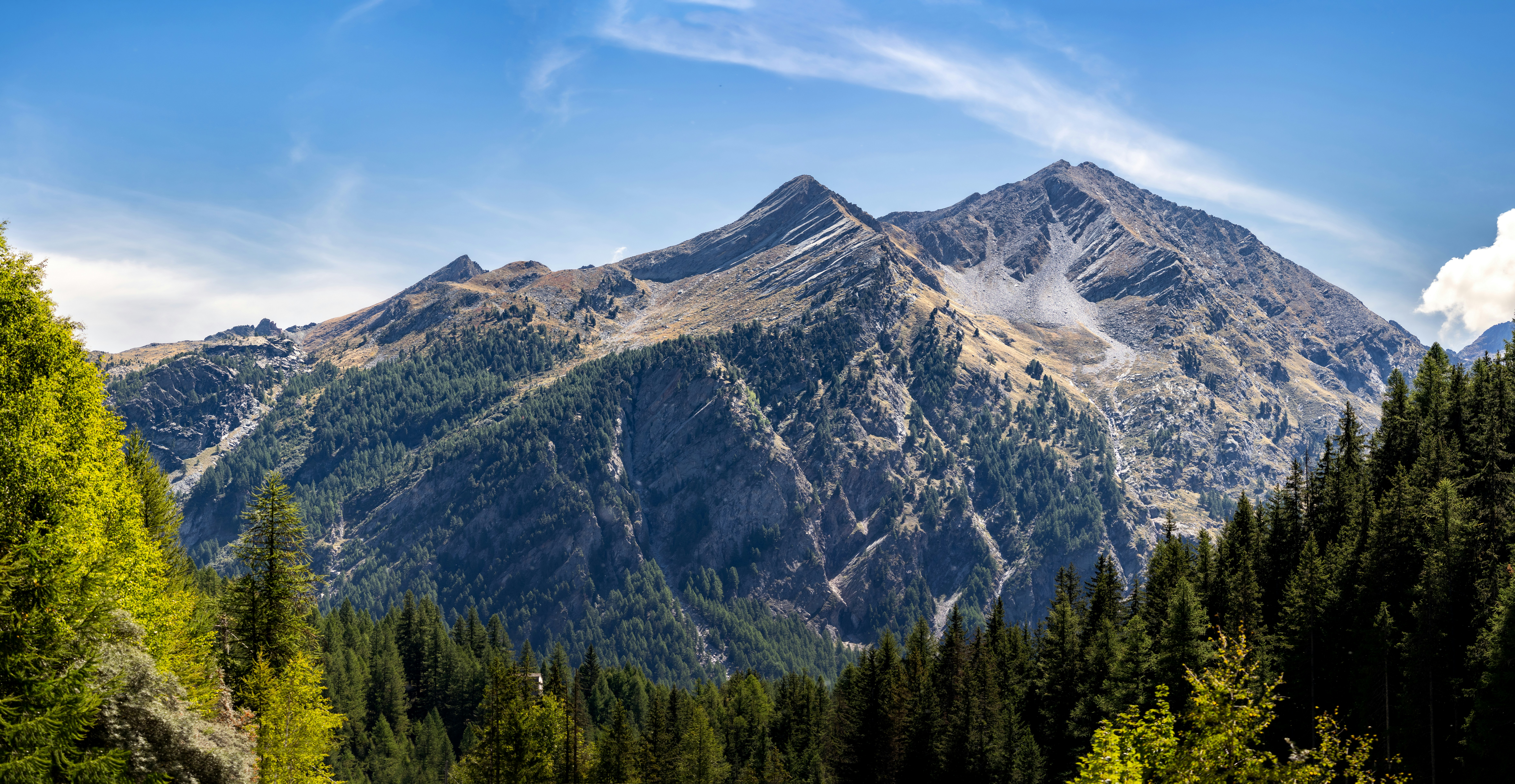 Photo by marekpiwnicki