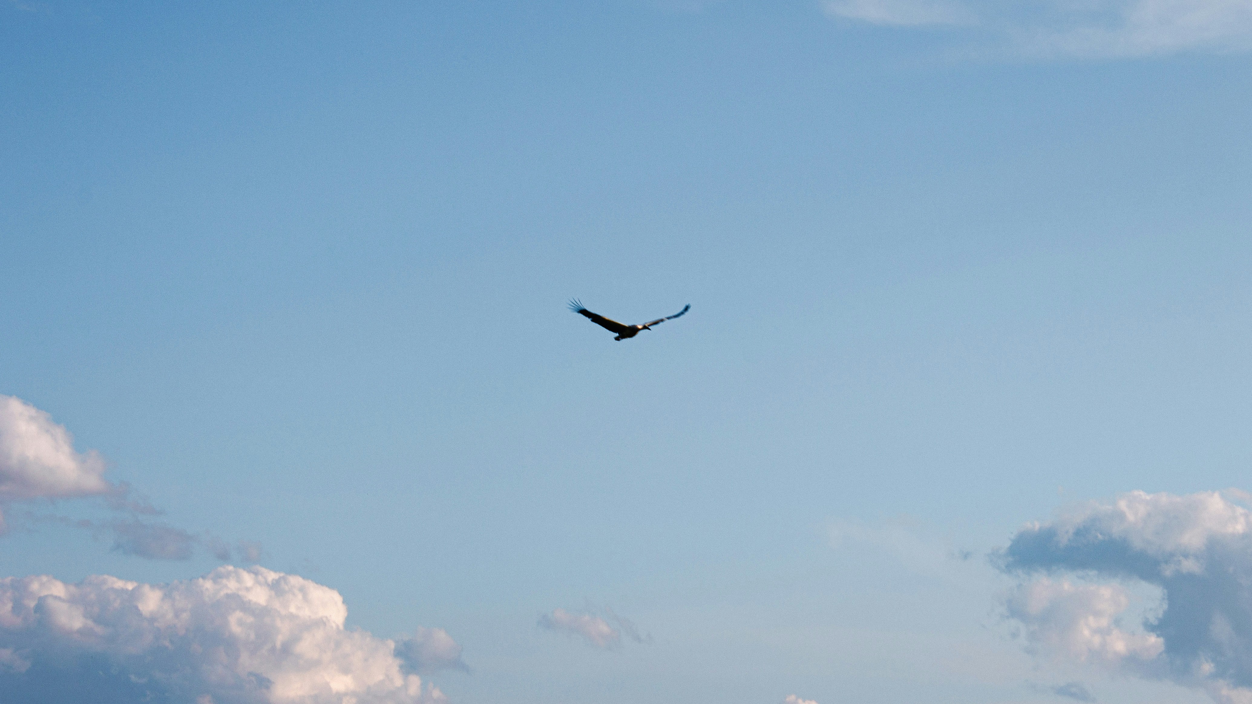 Photo by aleksey_parakhnevich