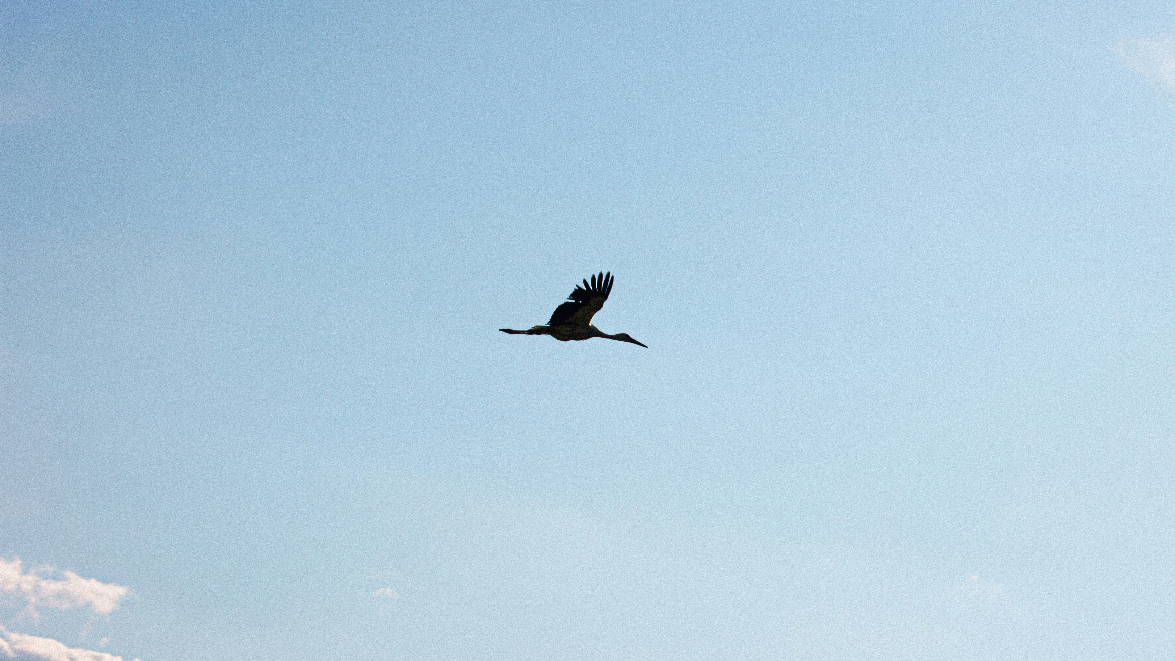 Photo by aleksey_parakhnevich