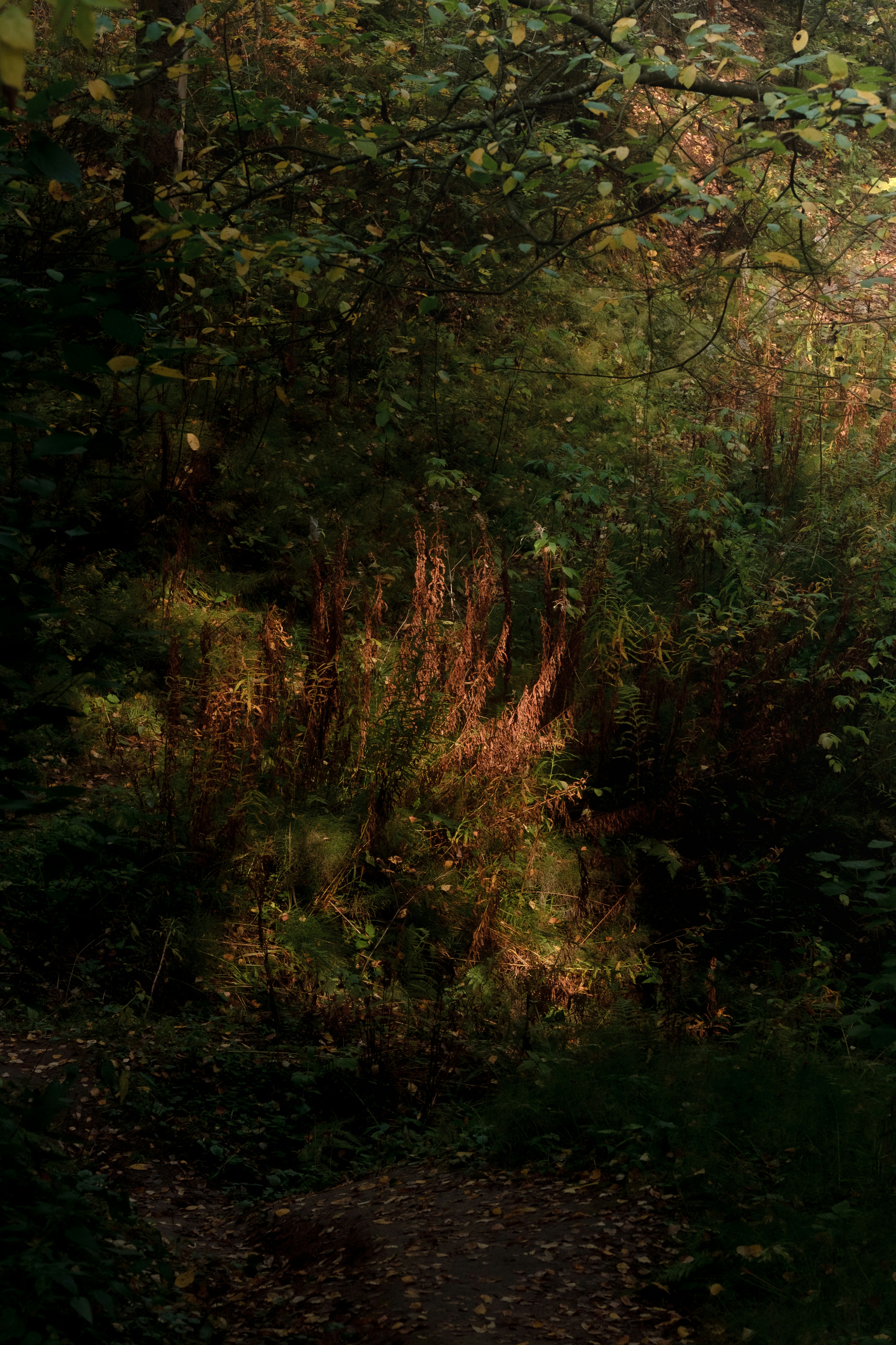 Photo by kazusaki_sagar