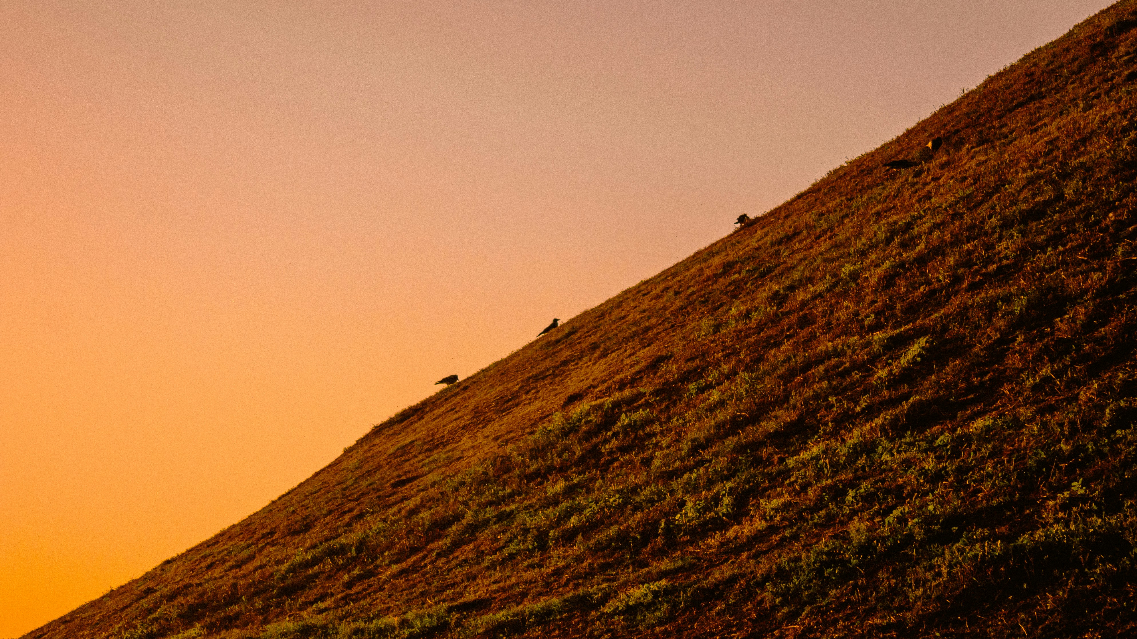 Photo by aleksey_parakhnevich