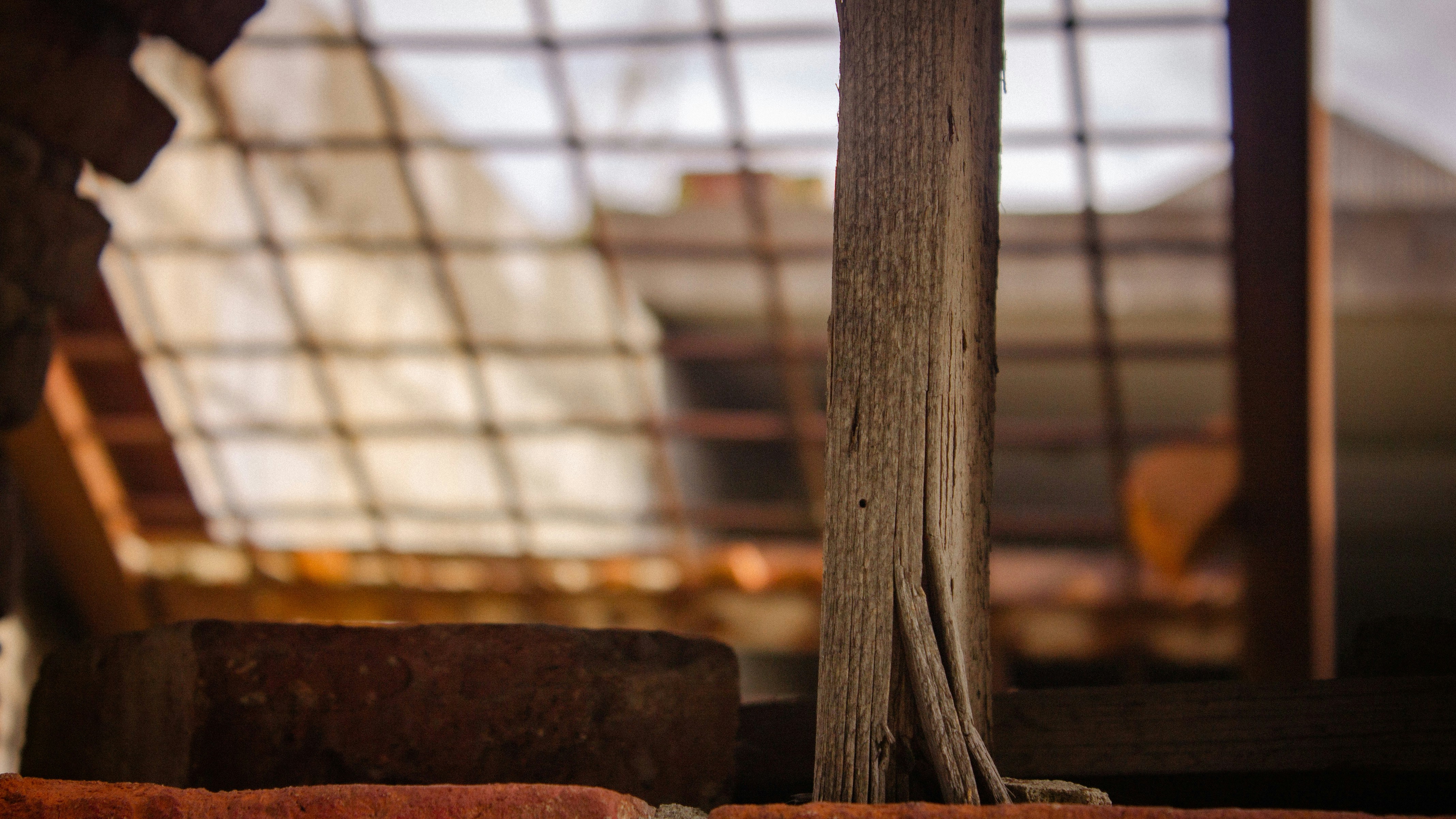 Photo by aleksey_parakhnevich