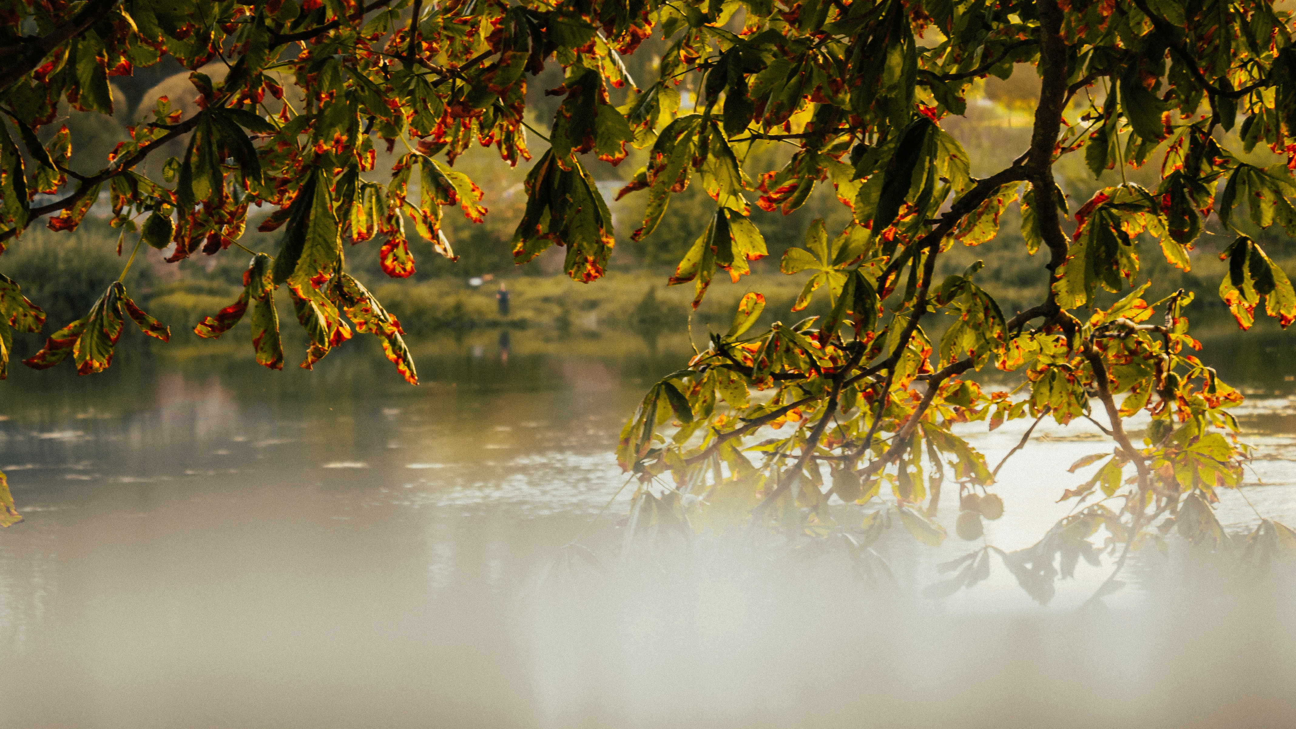 Photo by aleksey_parakhnevich