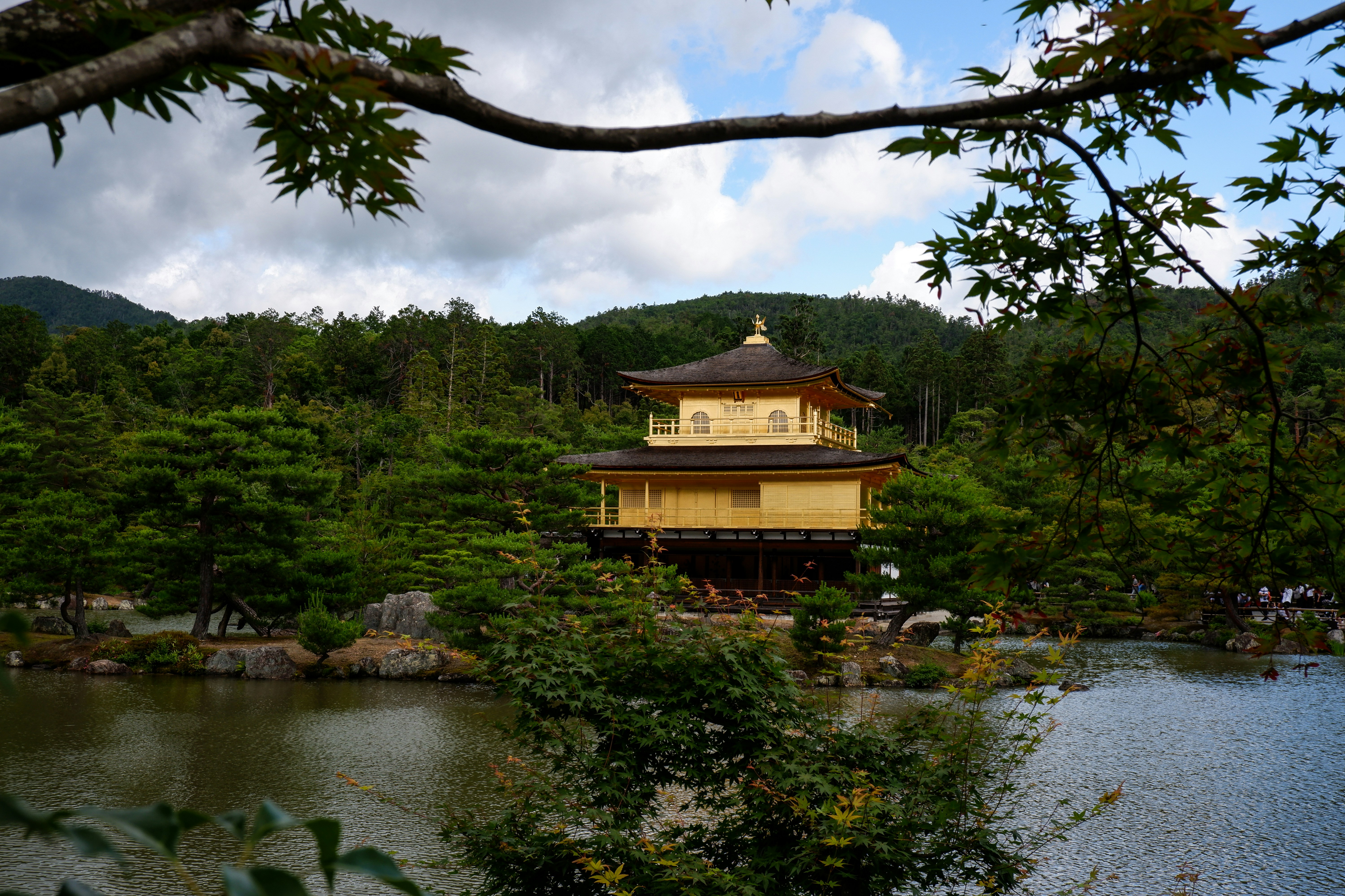 Photo by fotartistadigitale