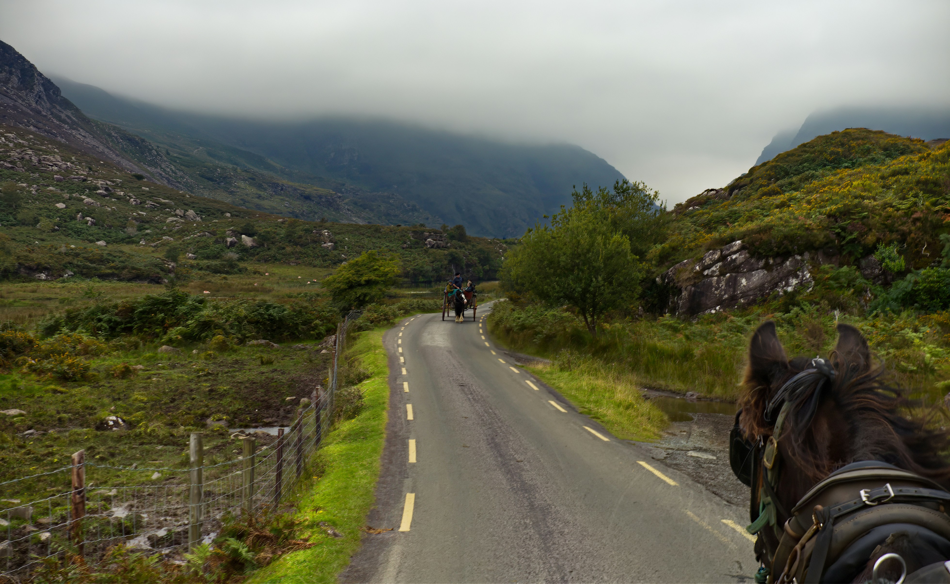 Un carruaje tirado por caballos que viaja por un camino rural