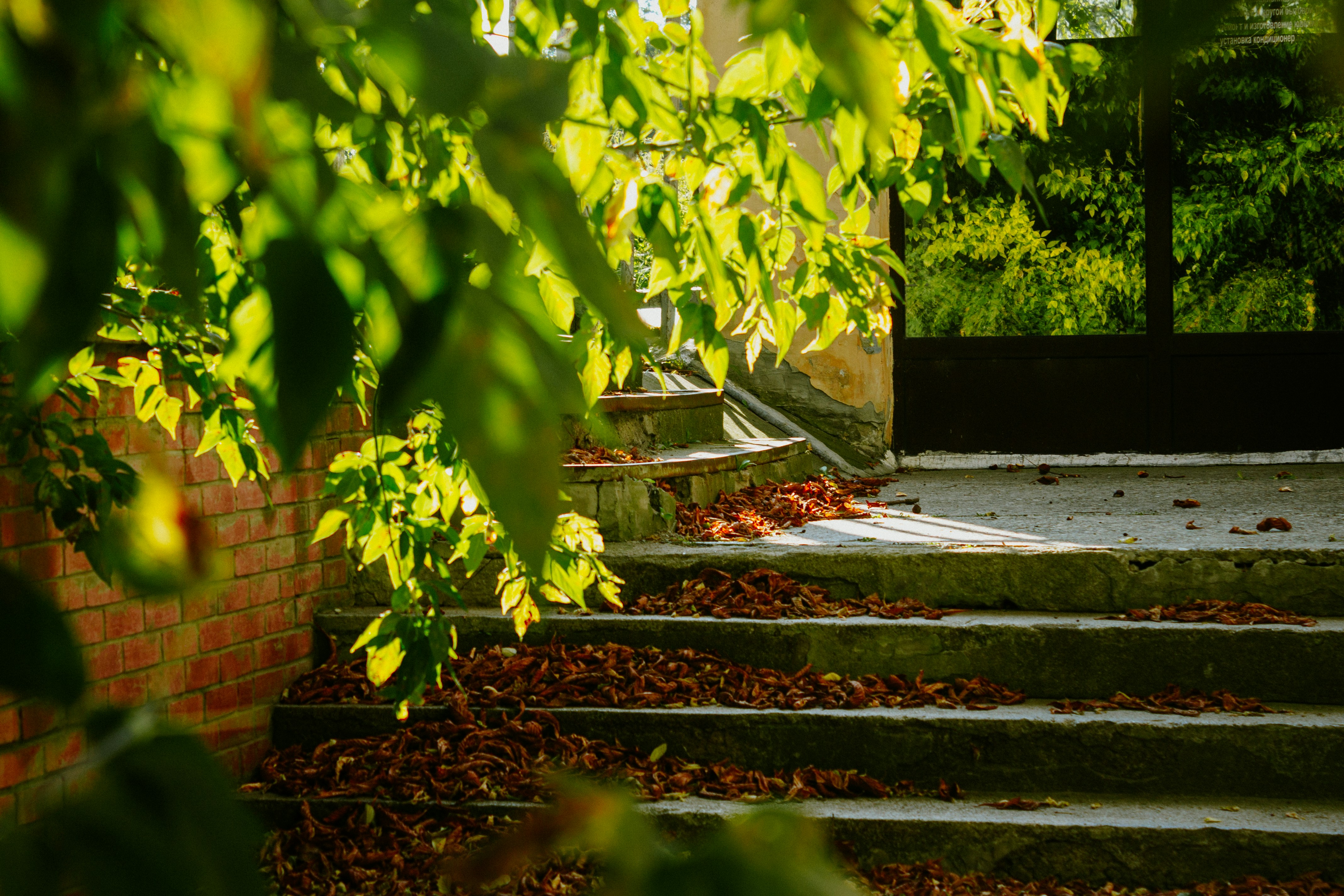 Photo by aleksey_parakhnevich