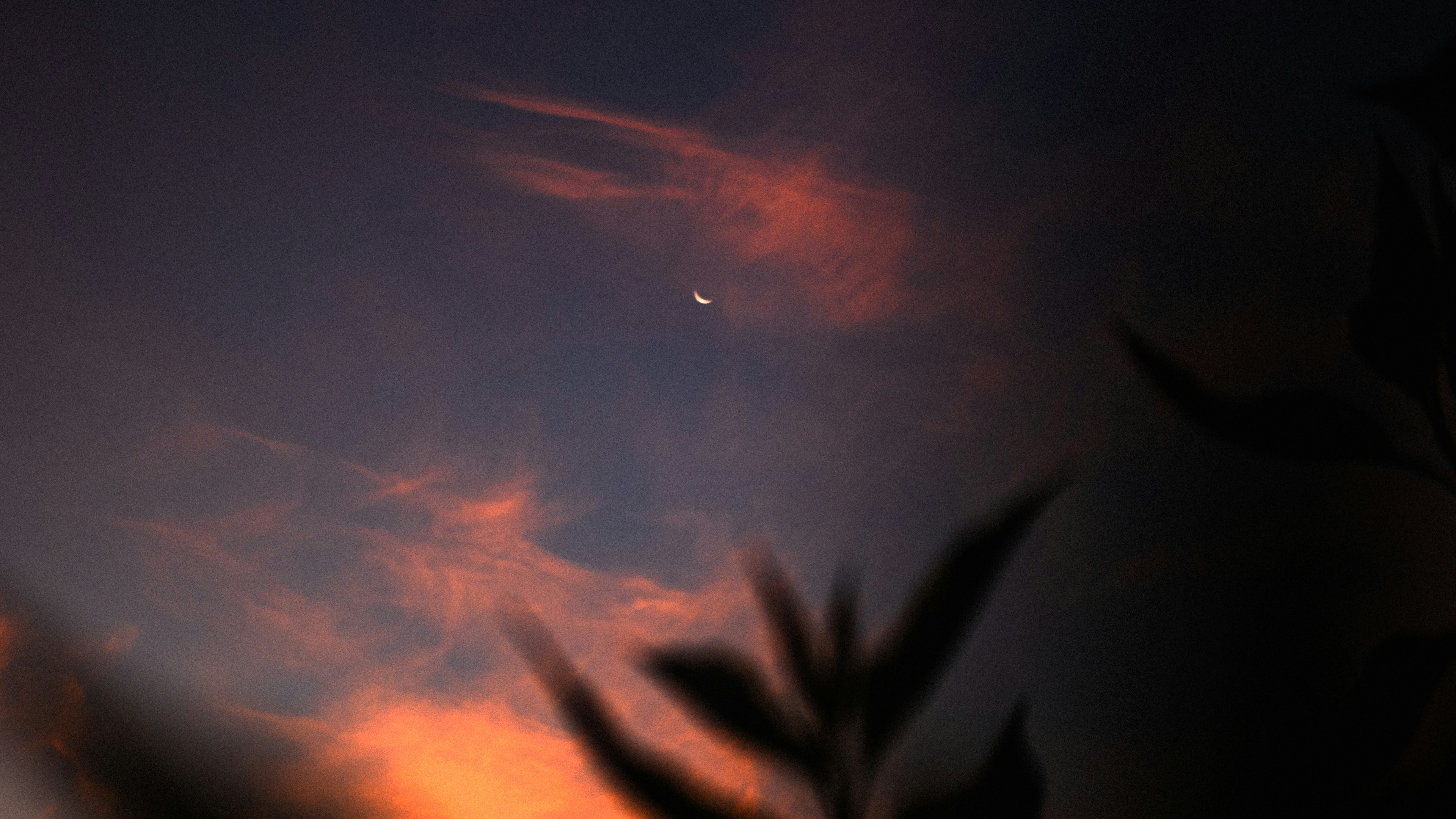 Photo by aleksey_parakhnevich