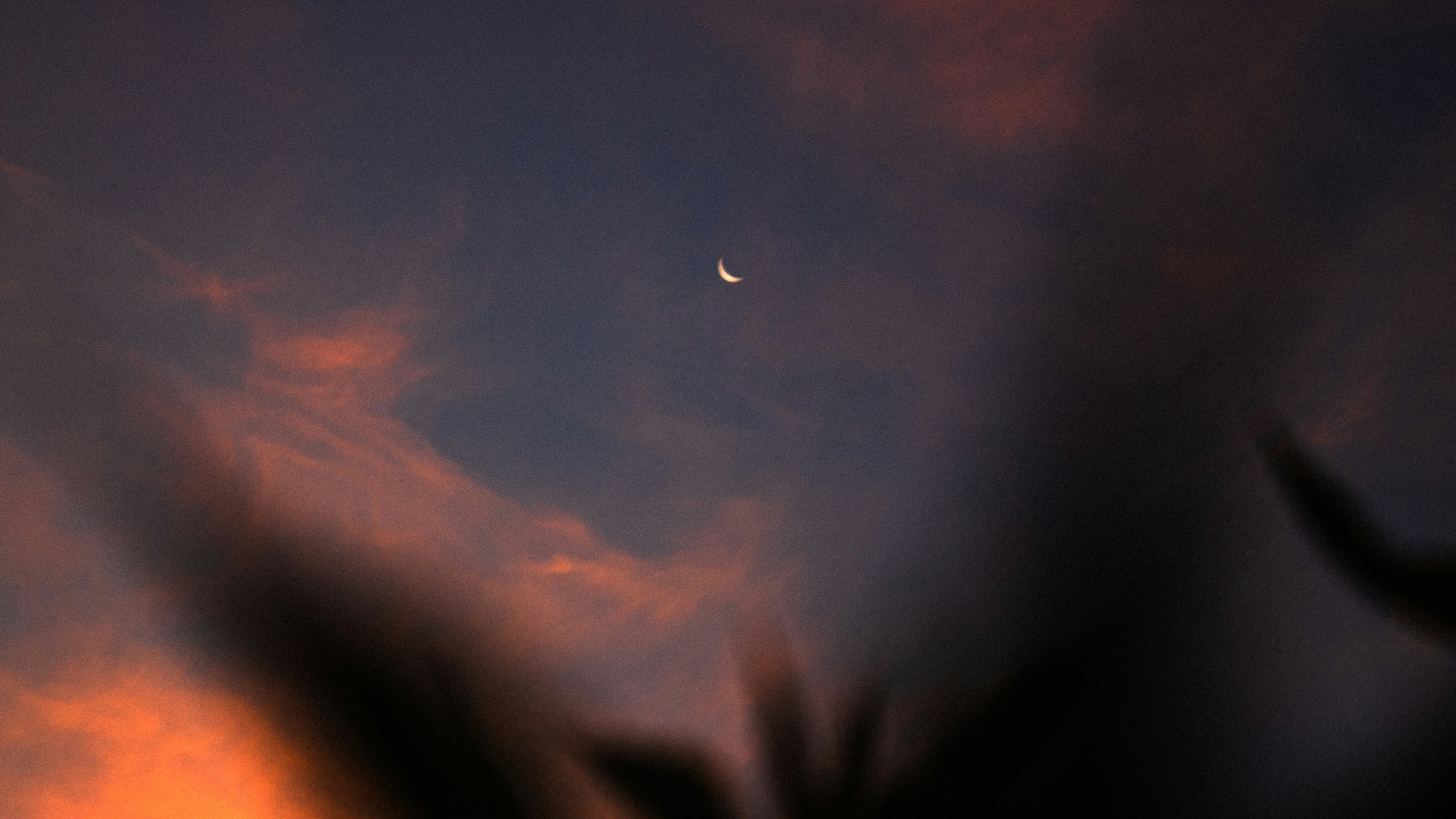 Photo by aleksey_parakhnevich
