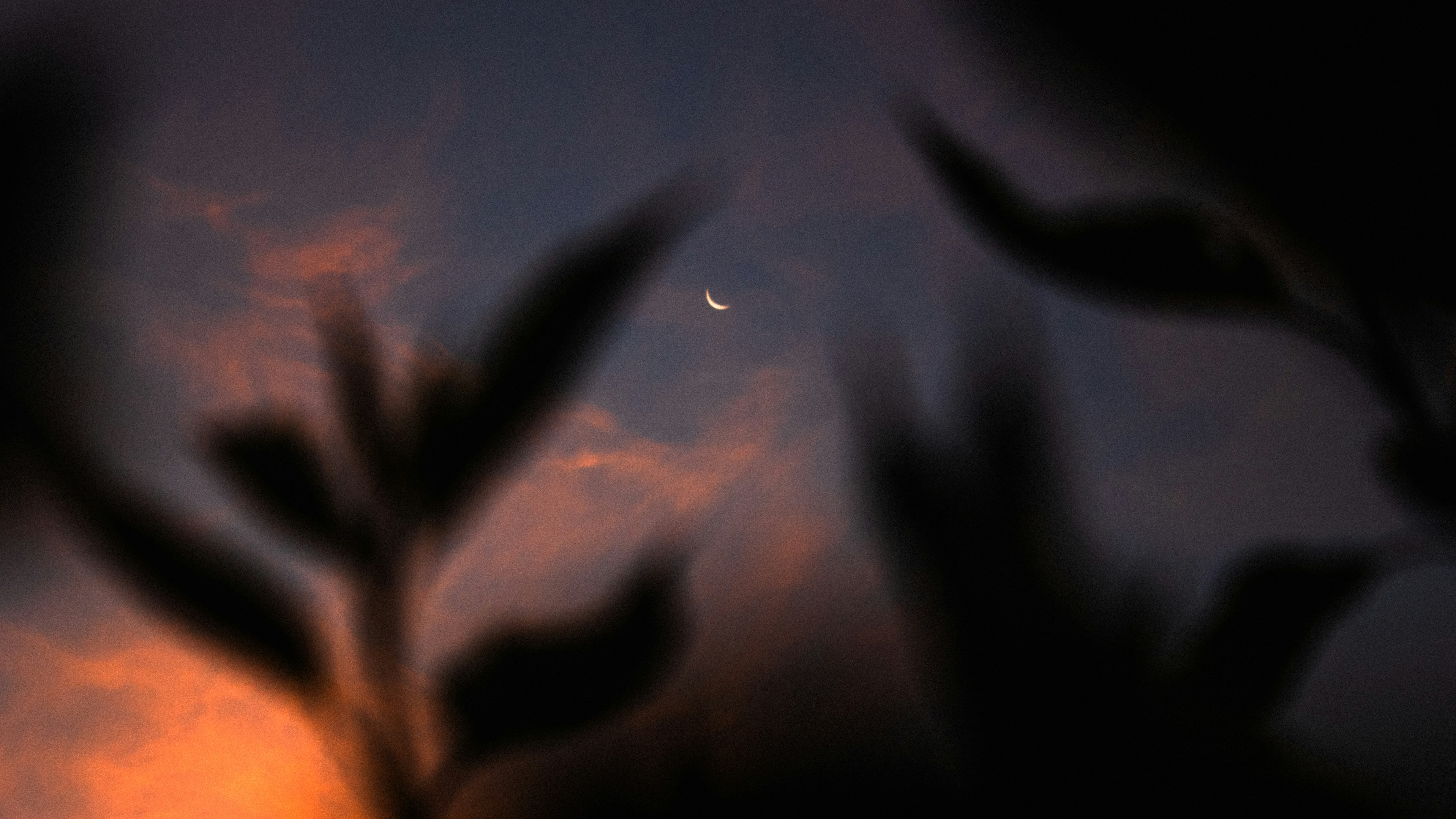 Photo by aleksey_parakhnevich