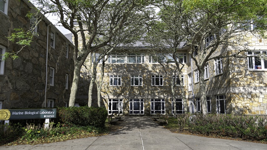 Falmouth University